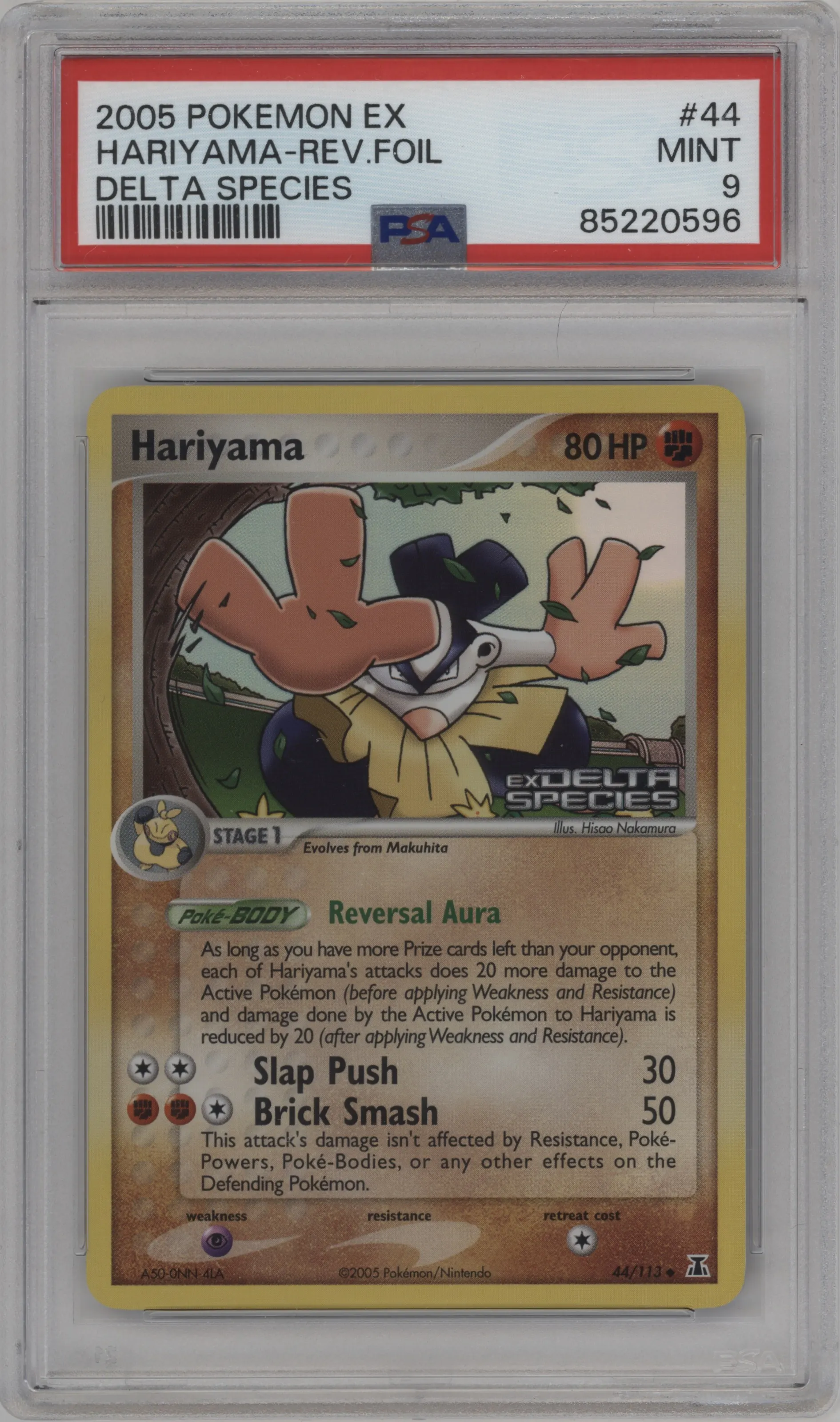 Hariyama