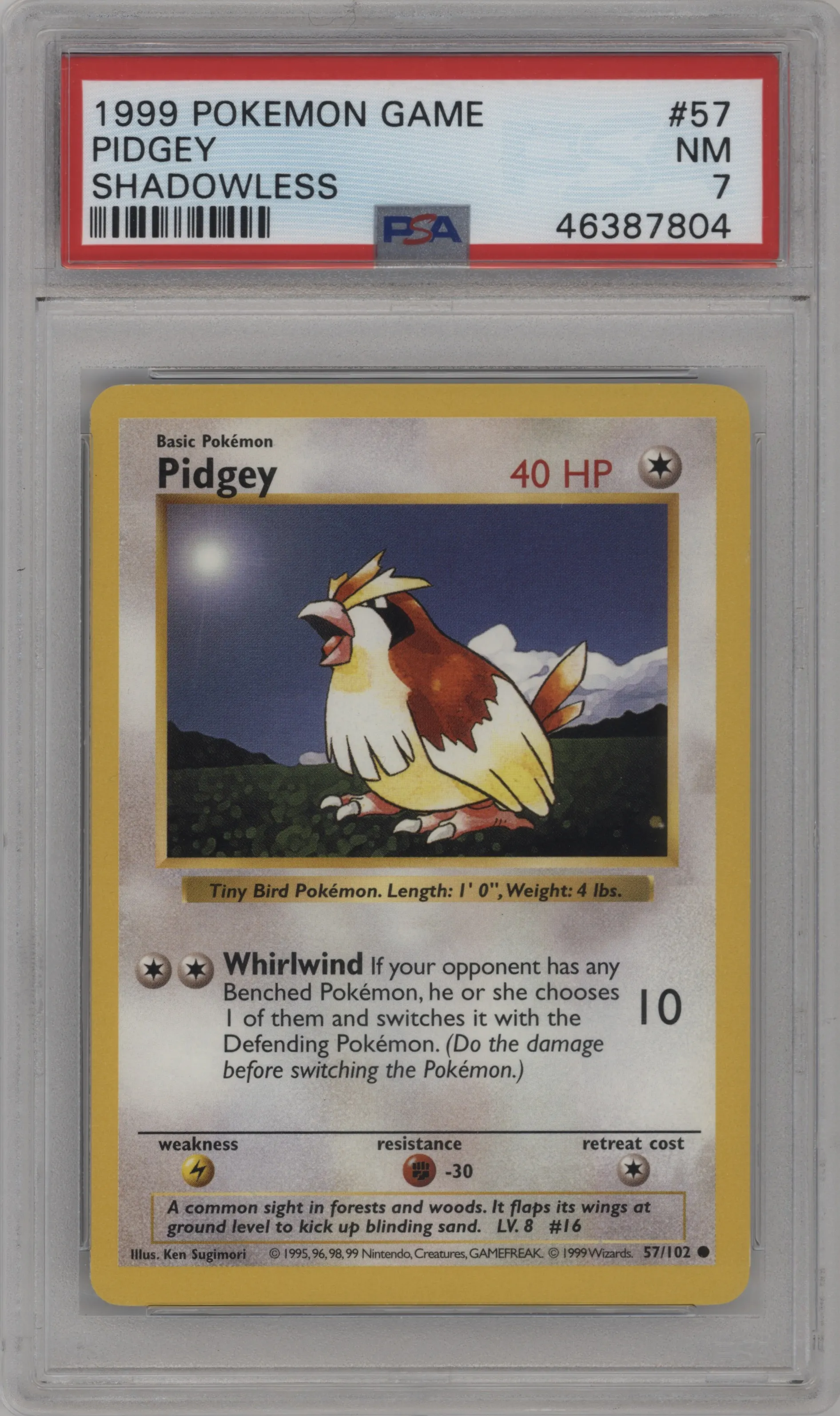 Pidgey