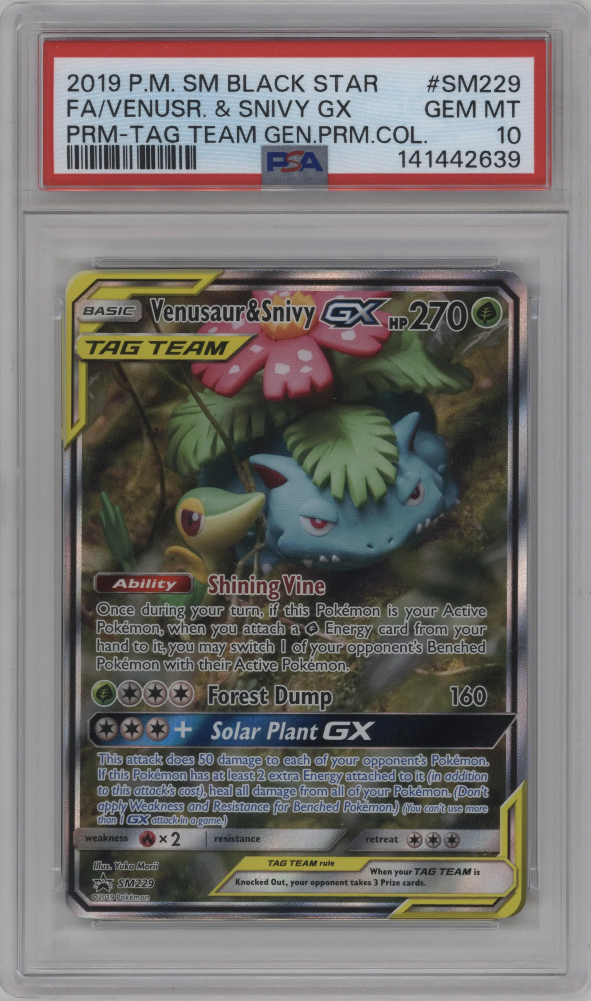 Venusaur/Snivy GX