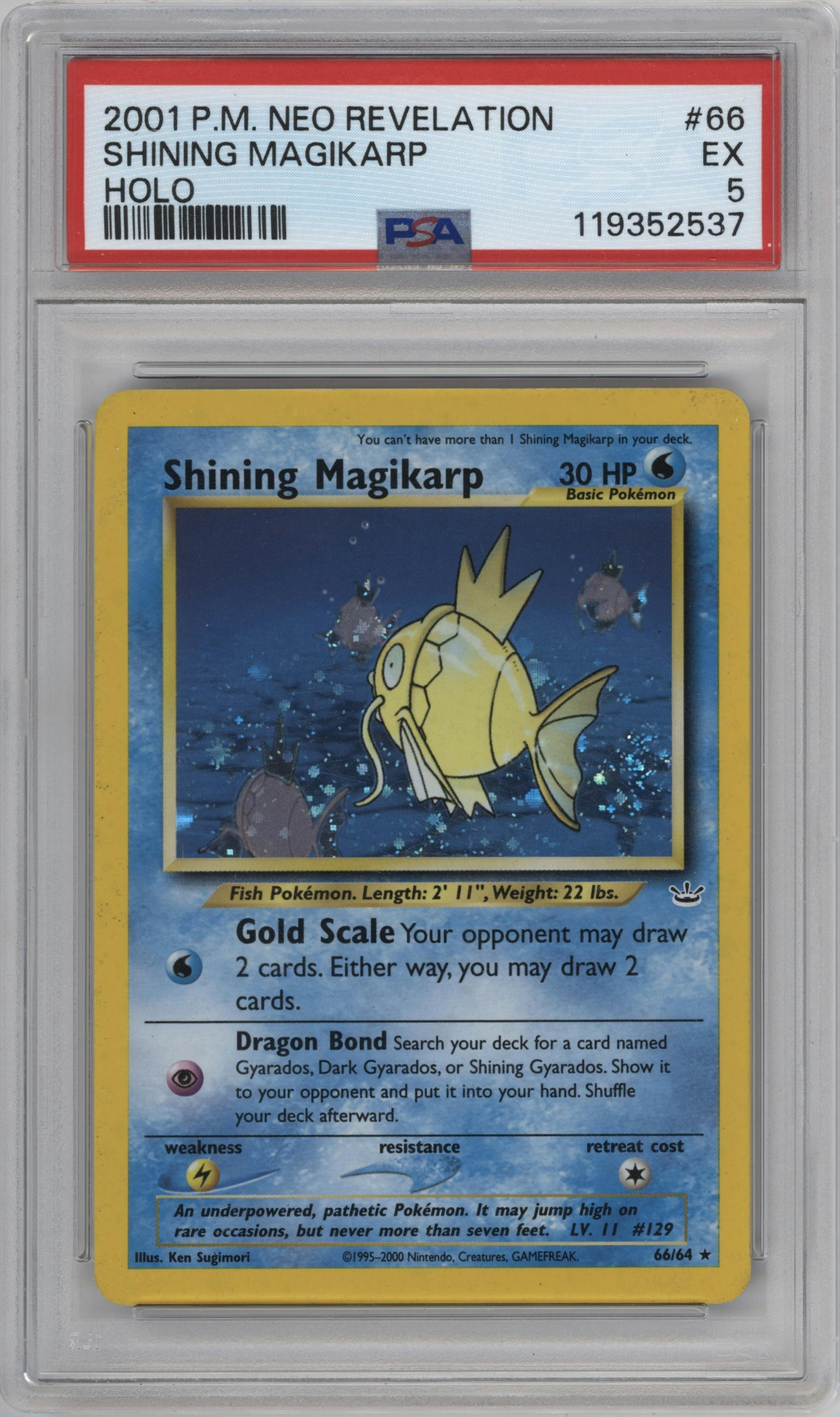 Shining Magikarp from the 2001 Pokemon Neo Genesis set graded by PSA and given an overall grade of 5.