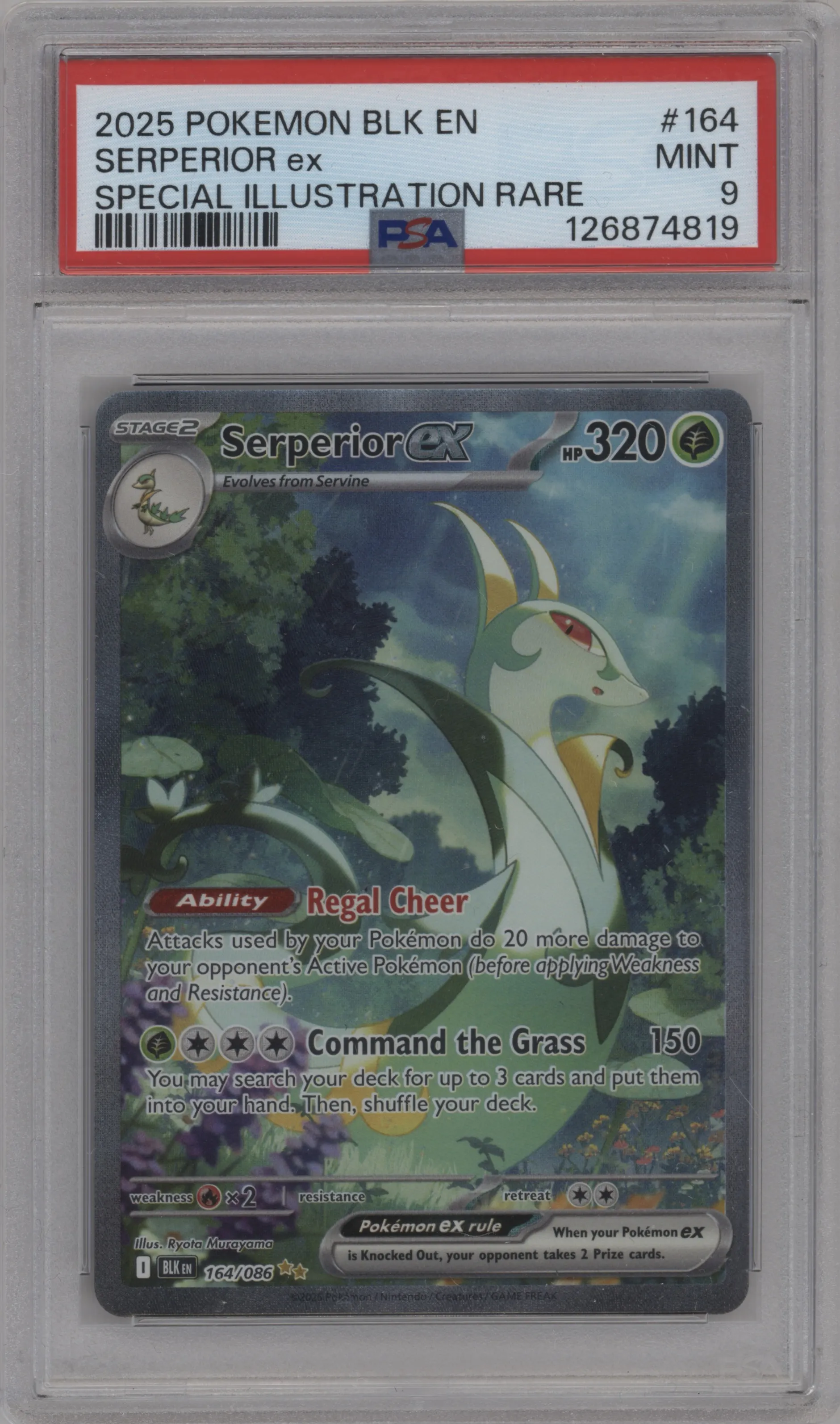 Serperior ex