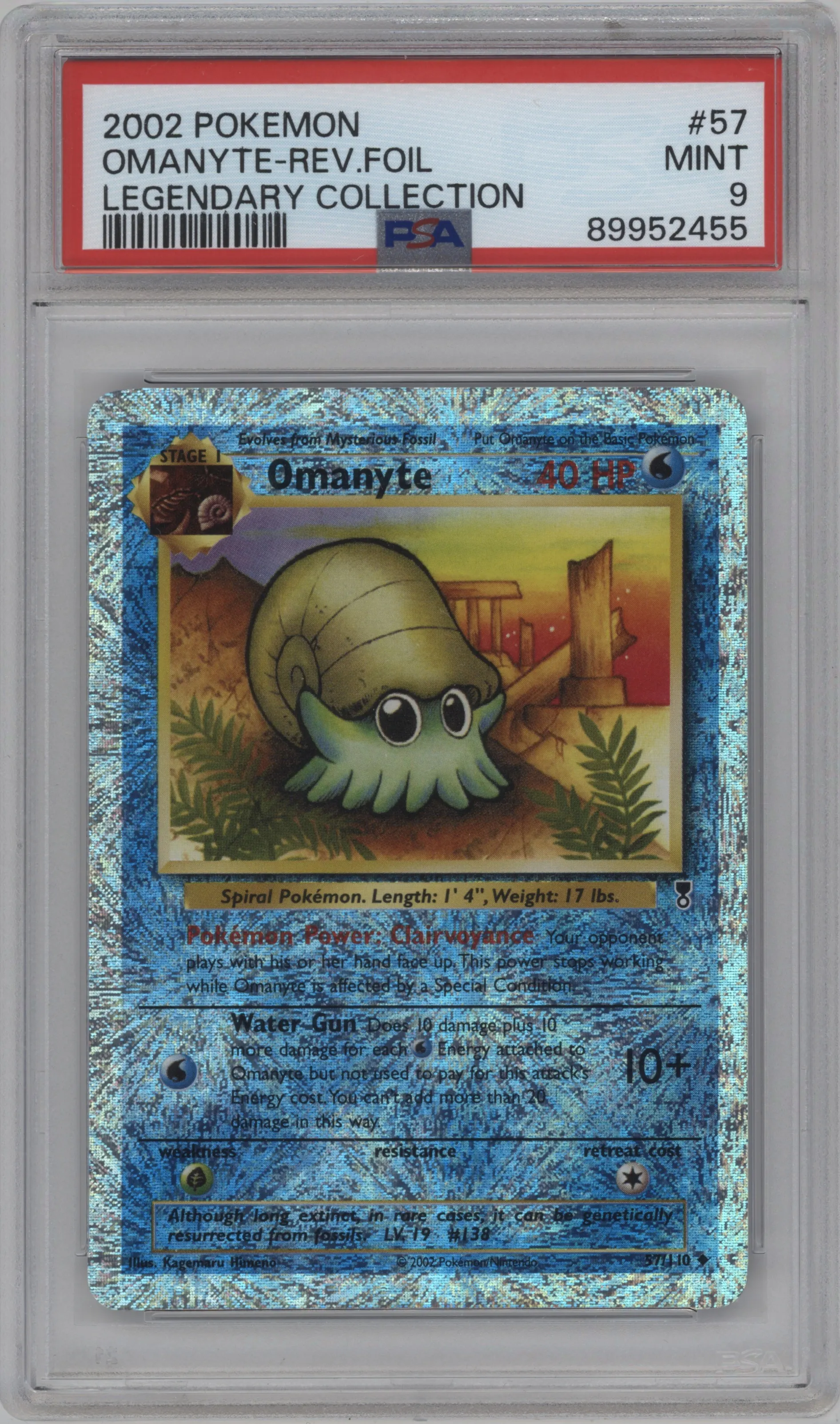 Omanyte