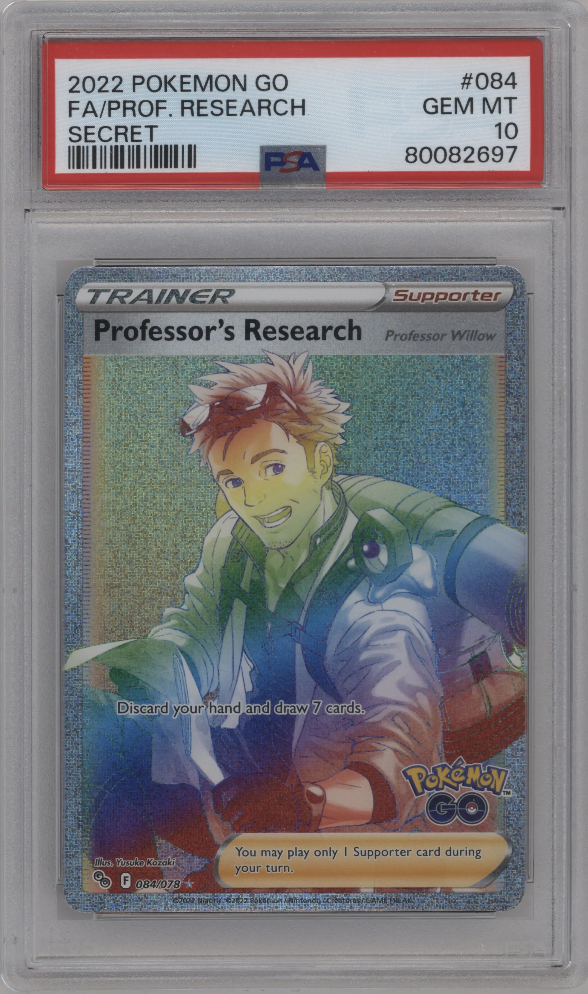 Professor's Research / Professor Willow