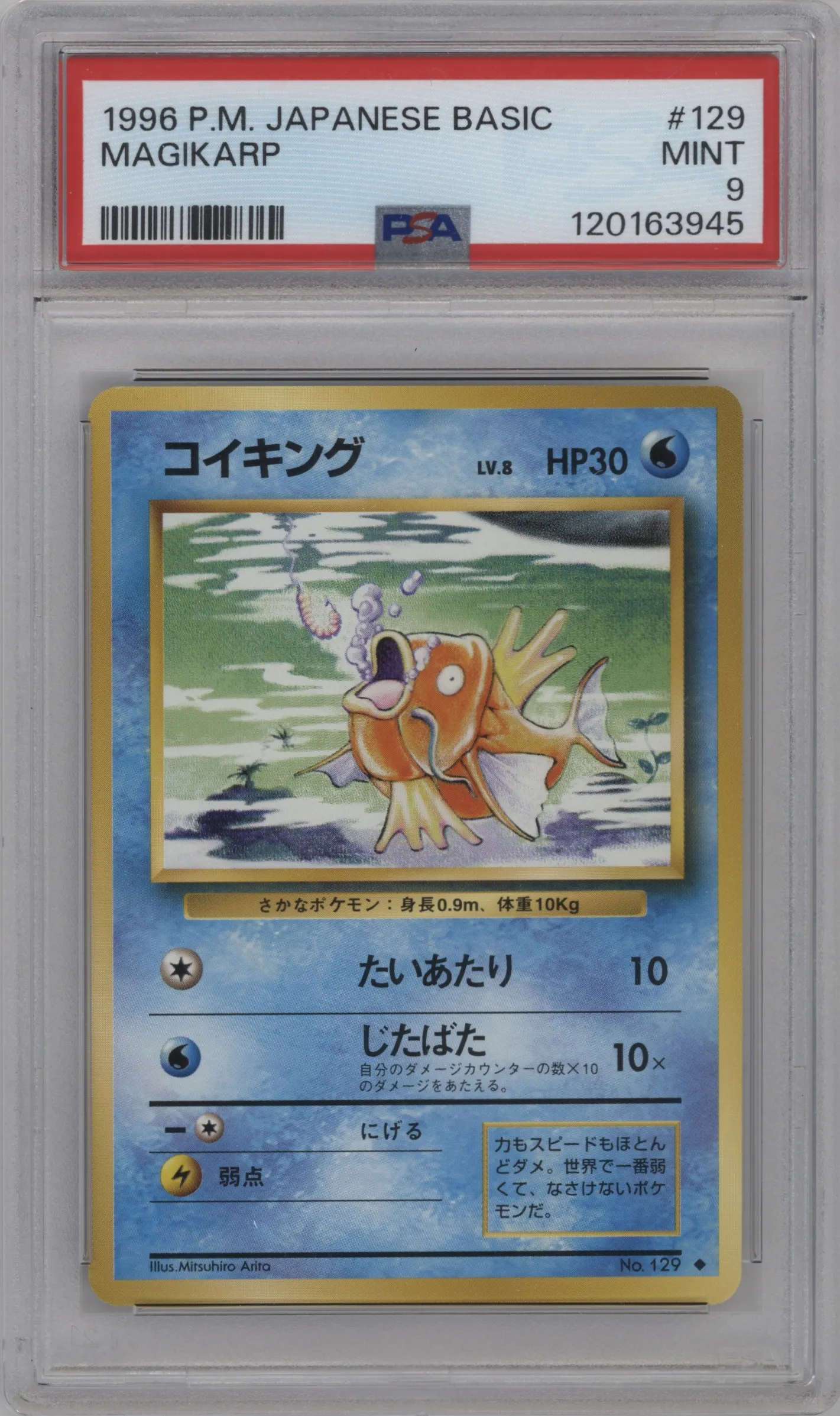 1996 Pokemon JPN Expansion Pack Magikarp PSA 9