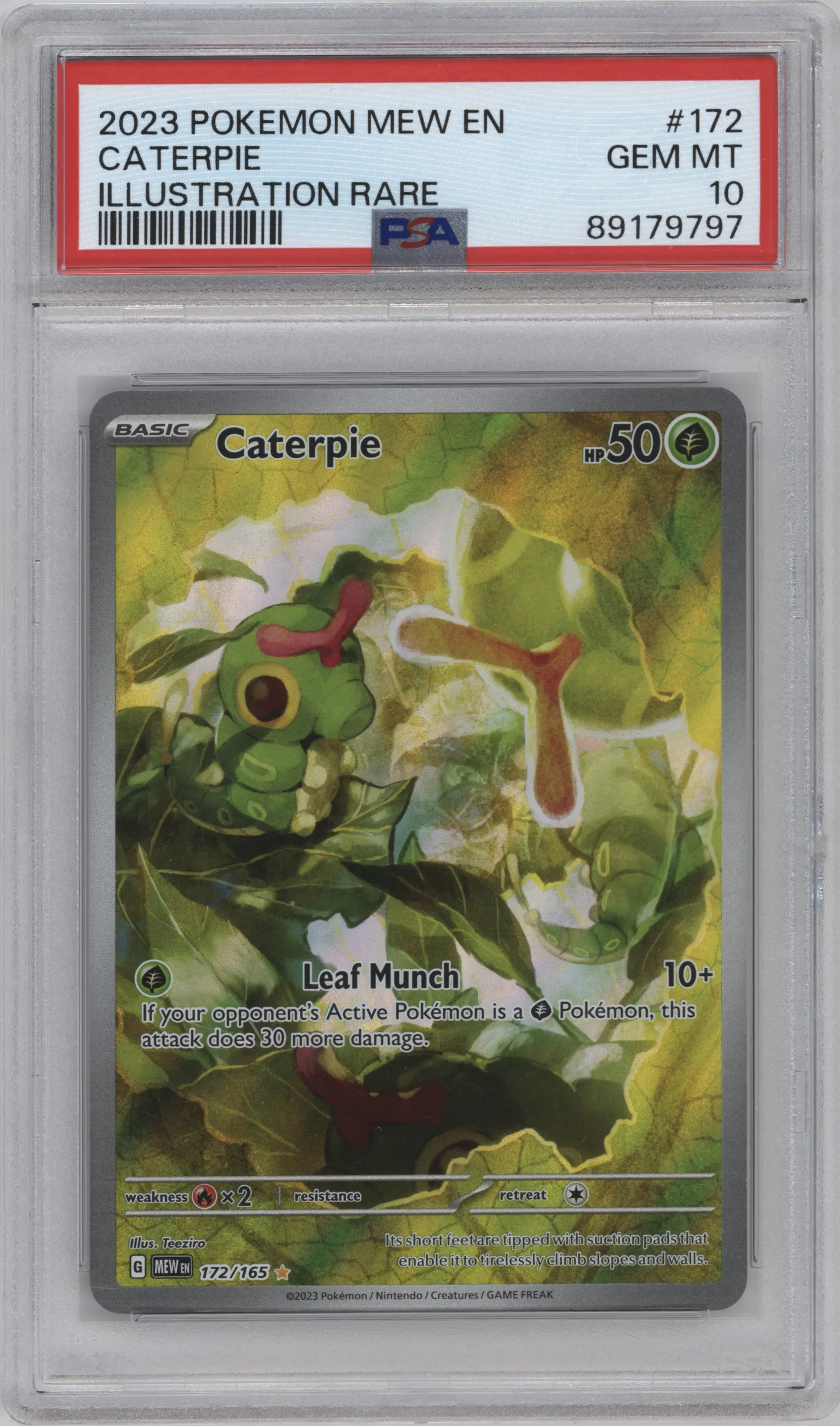 Caterpie