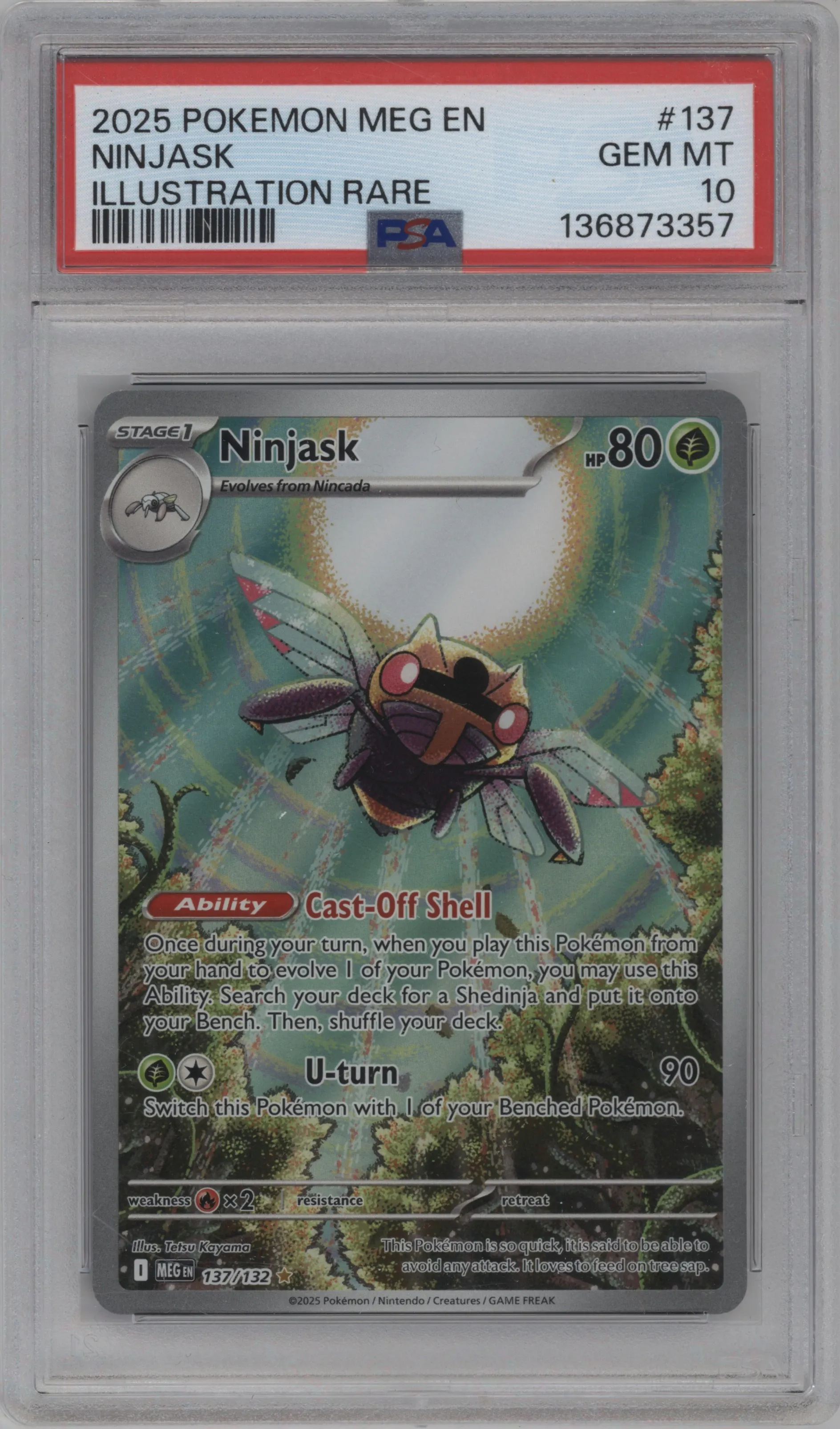 Ninjask
