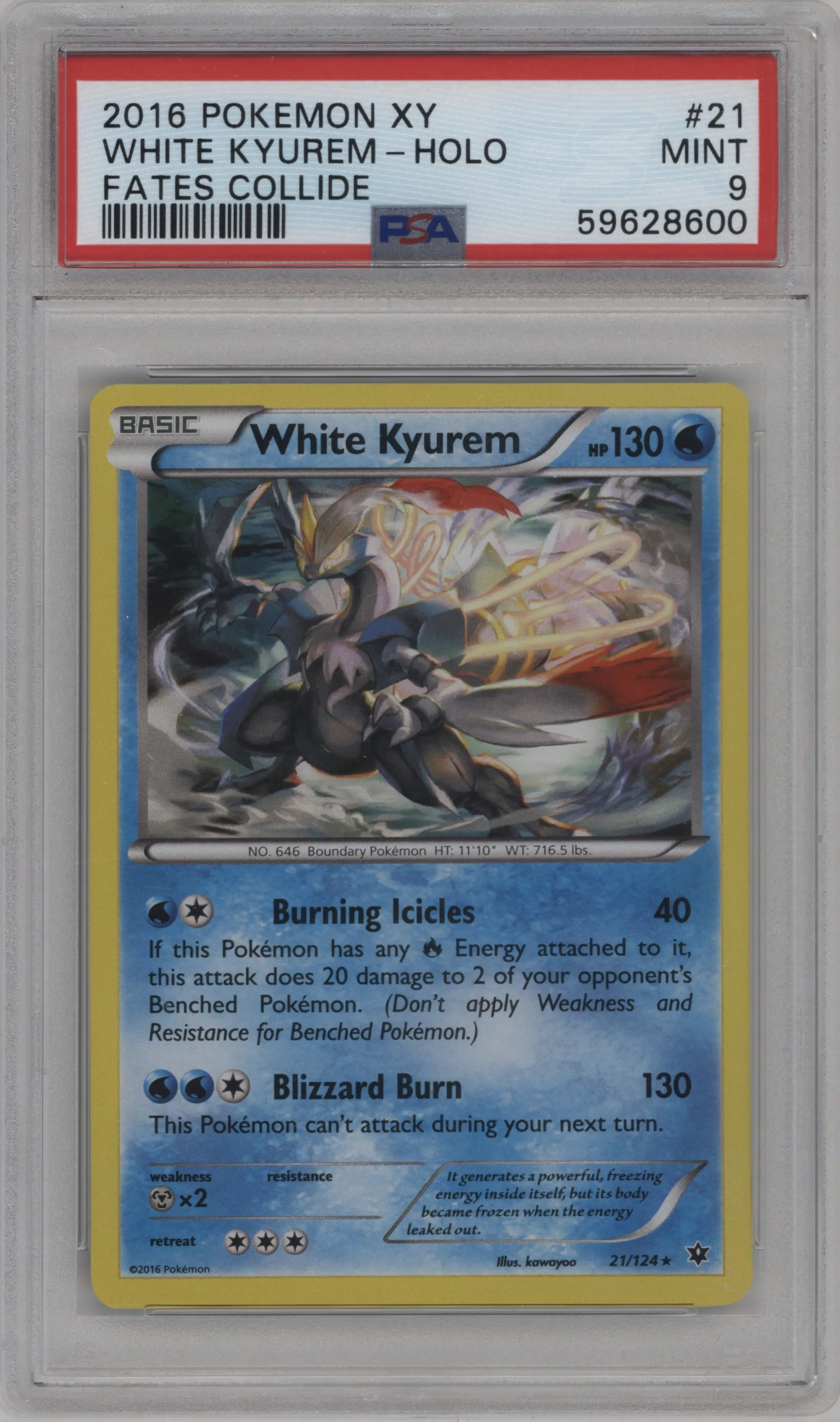 White Kyurem