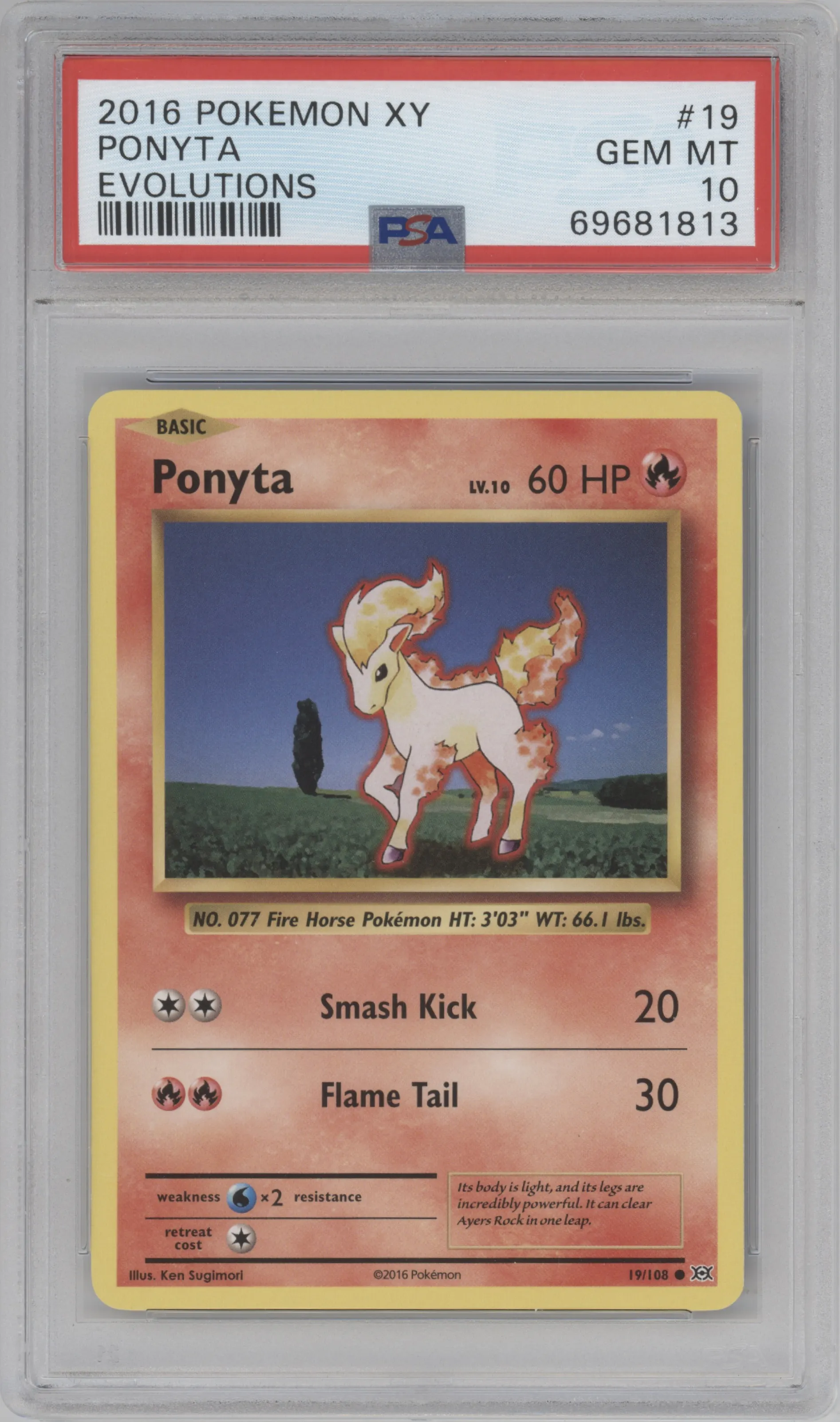 Ponyta ARENA CLUB