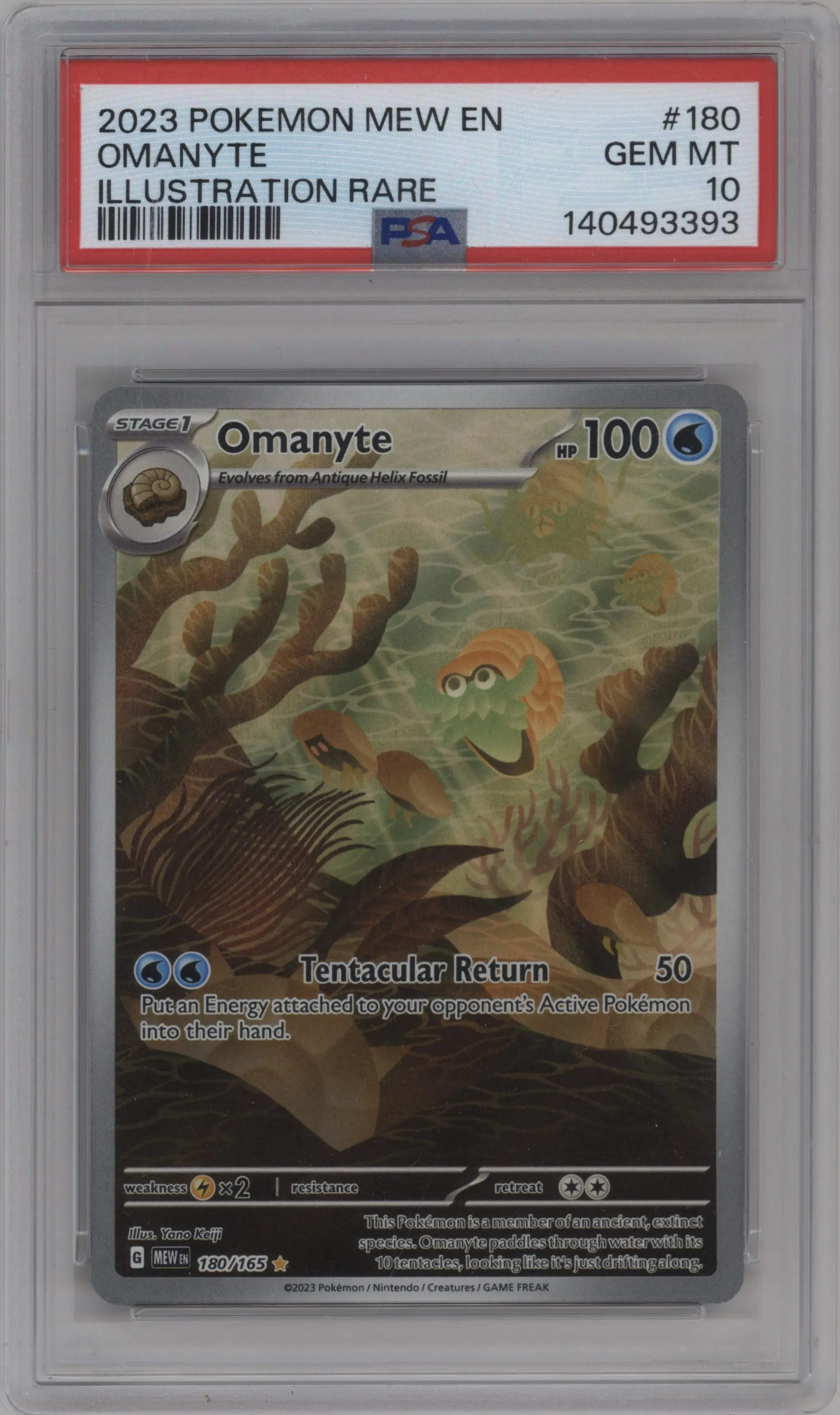 Omanyte
