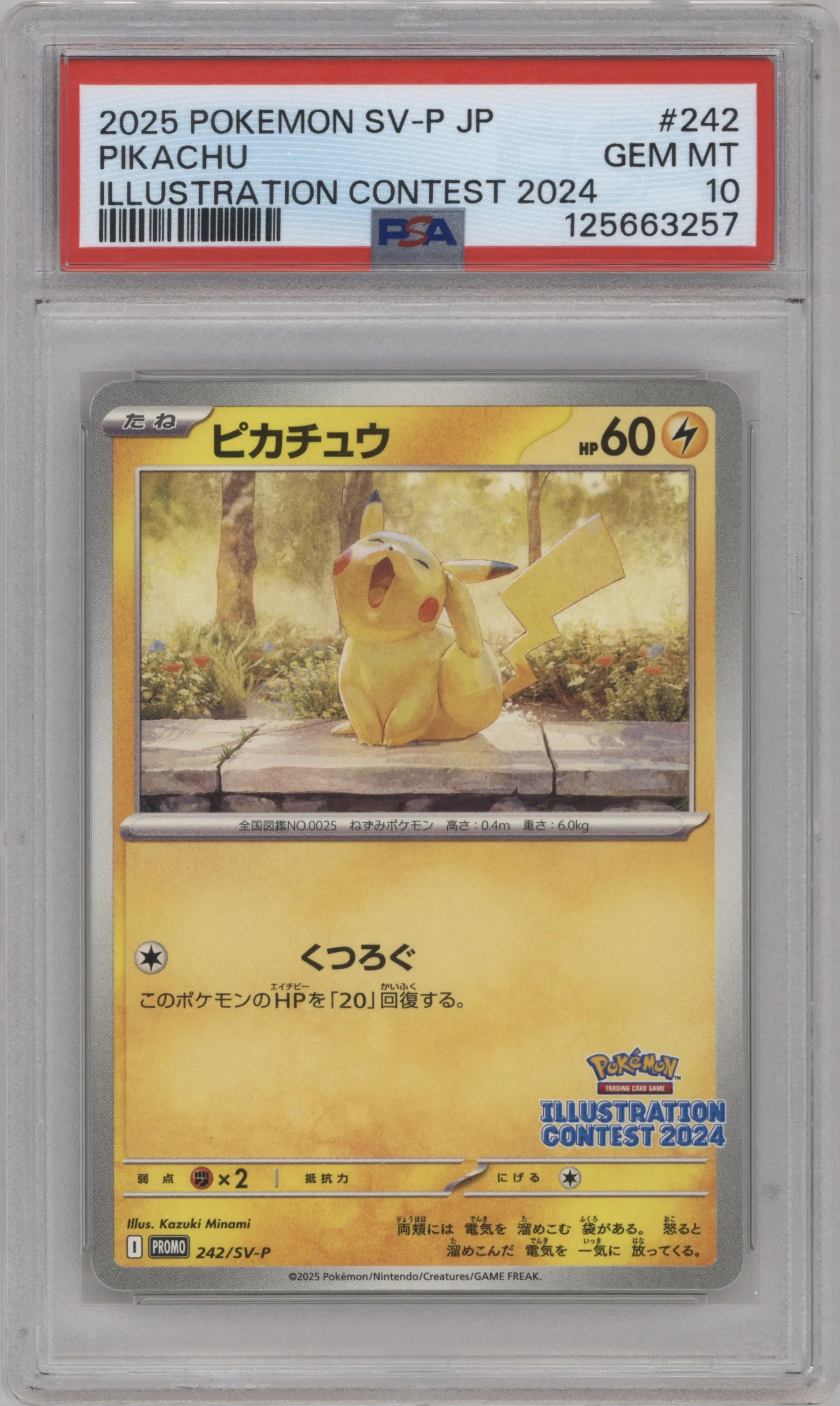 2025 Pokemon SV JPN Pikachu Illustration Contest 2024 Winner #242 PSA 10