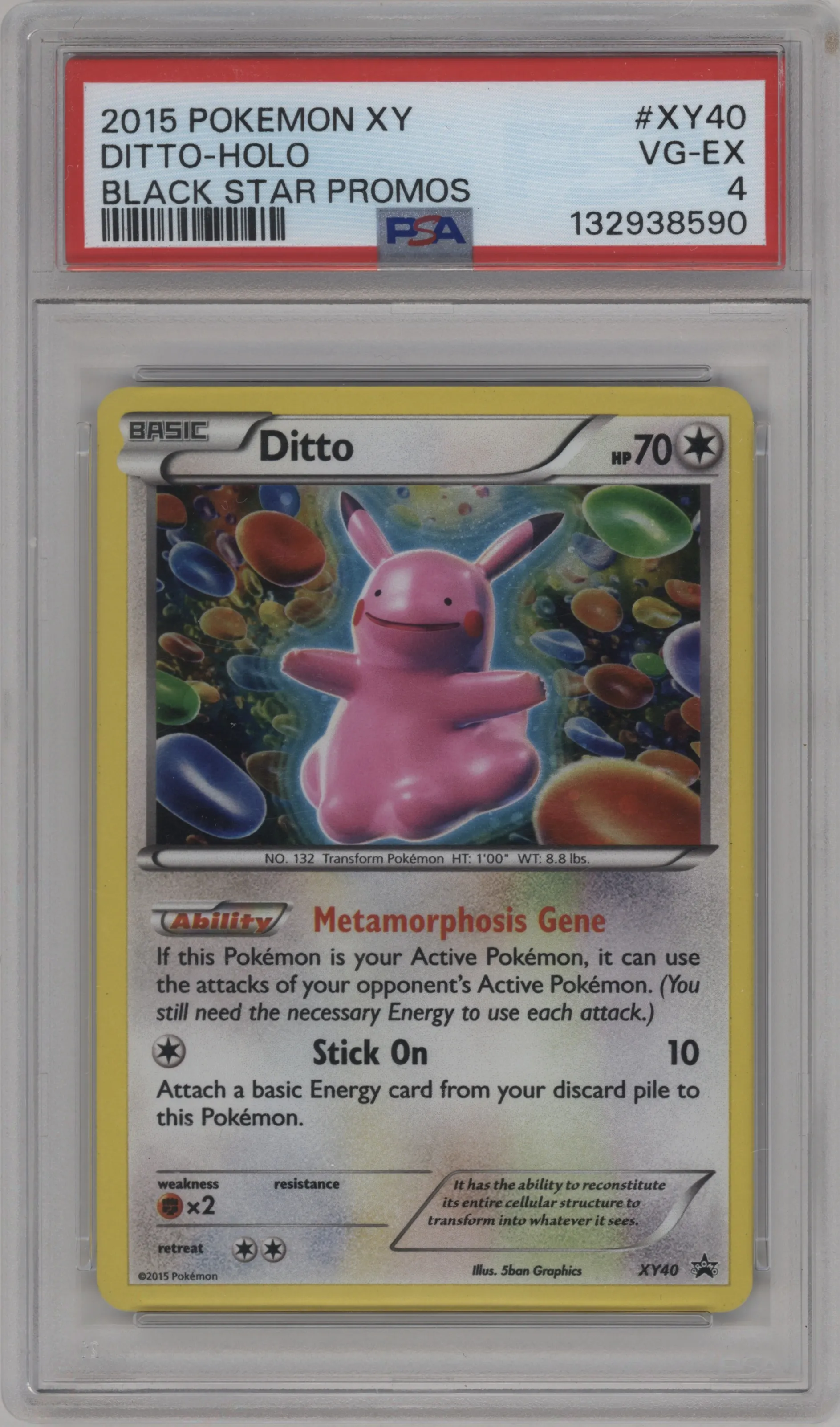 Ditto