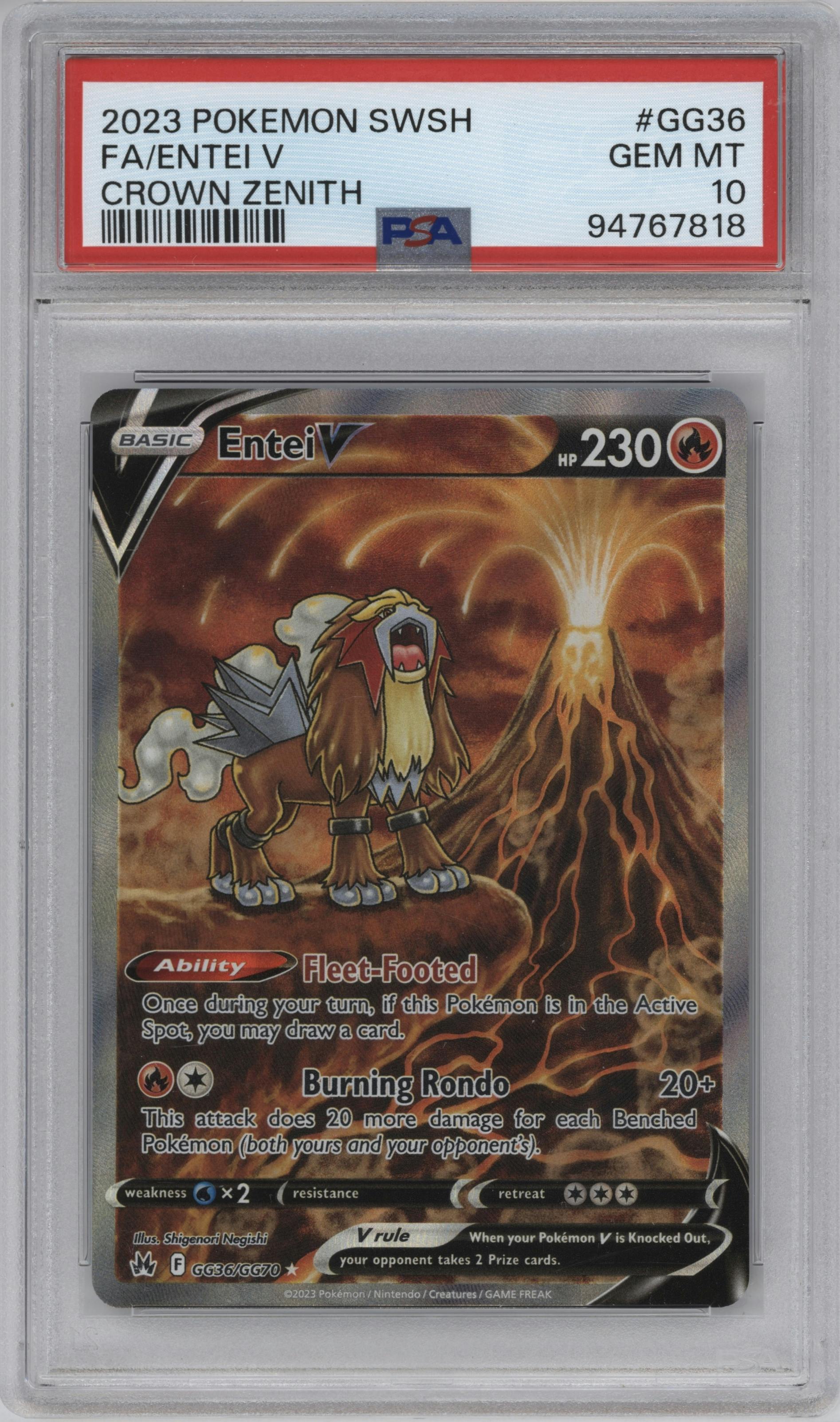 Entei V