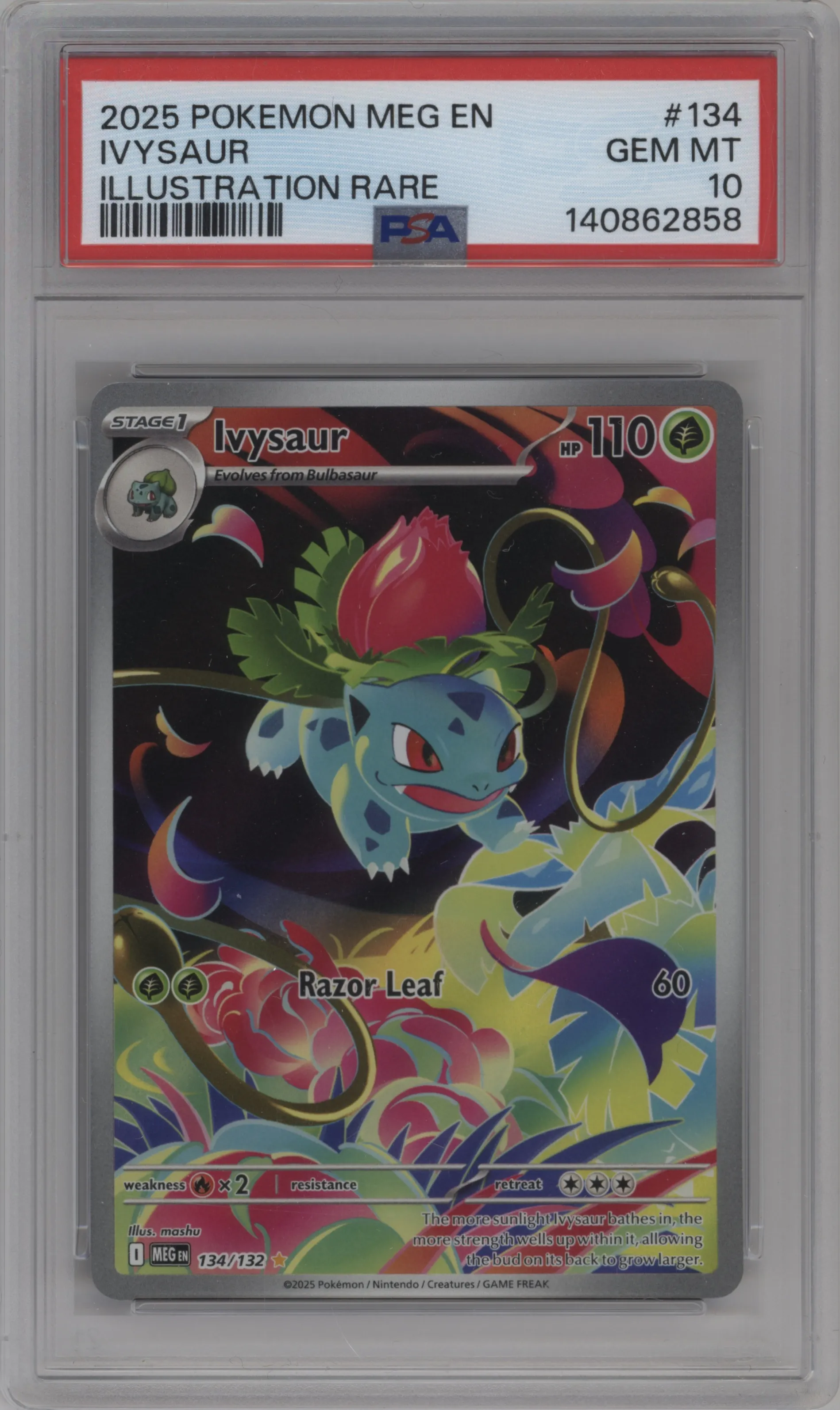 2025 Pokemon Mega Evolution Ivysaur PSA 10