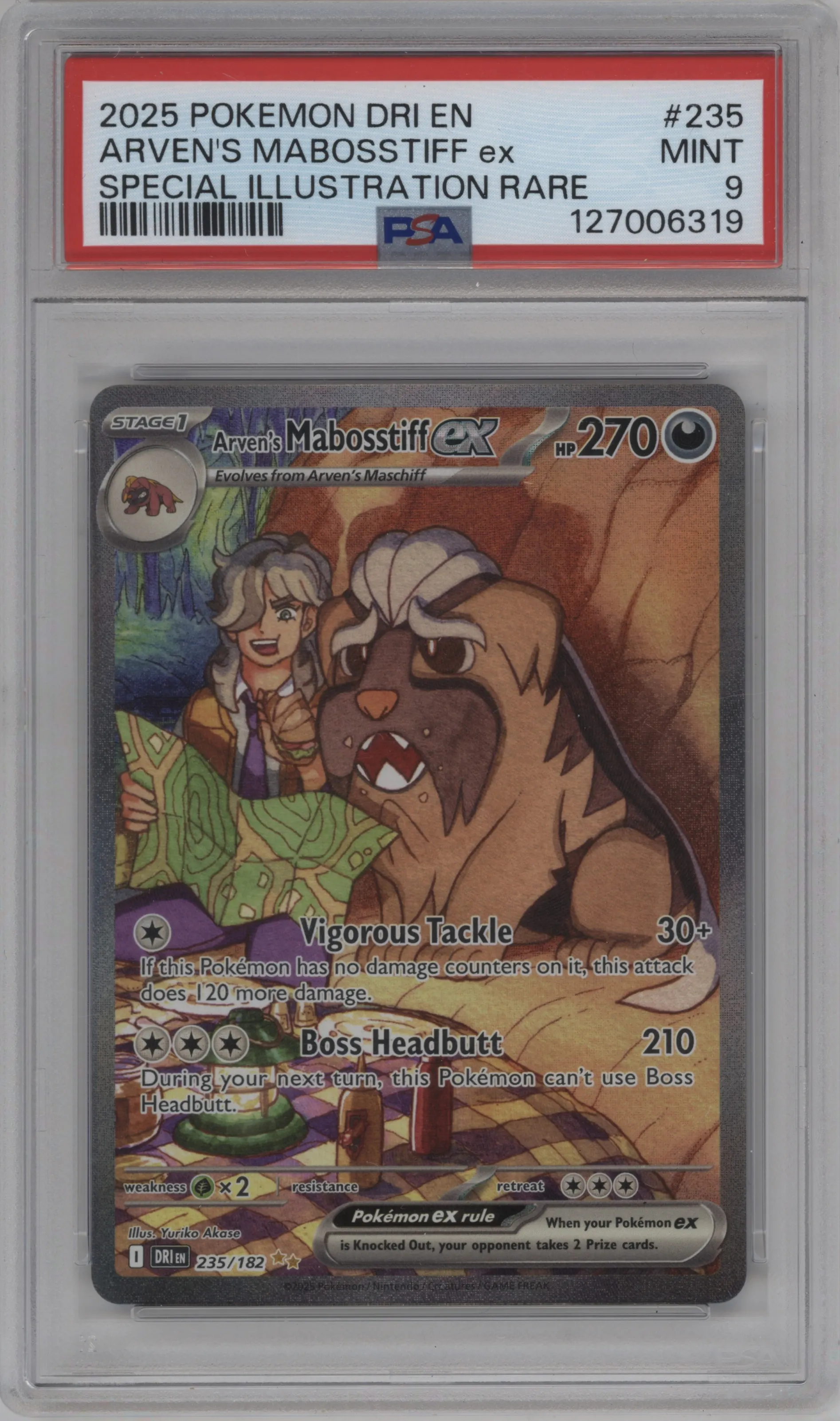 Arven's Mabosstiff ex