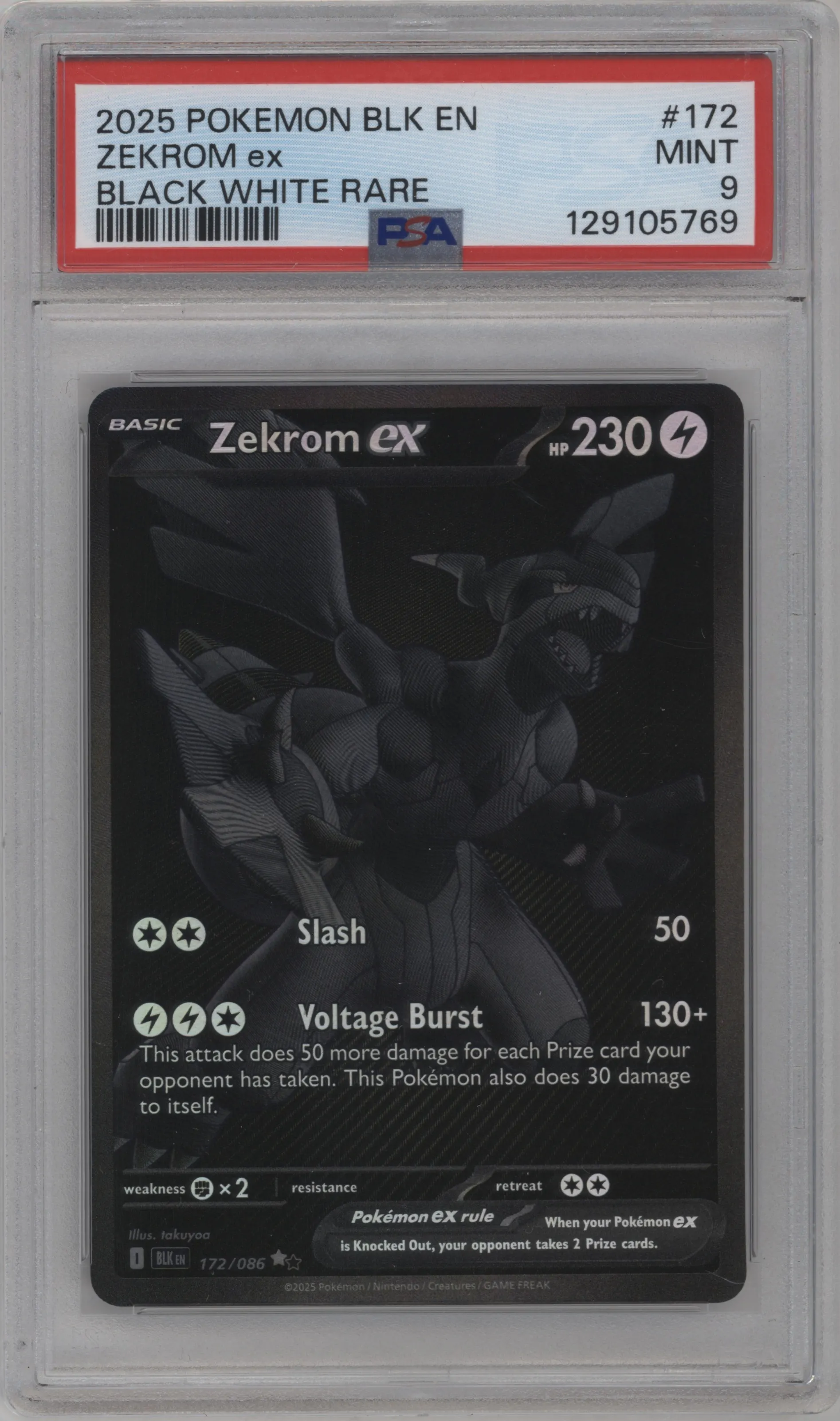 Zekrom ex