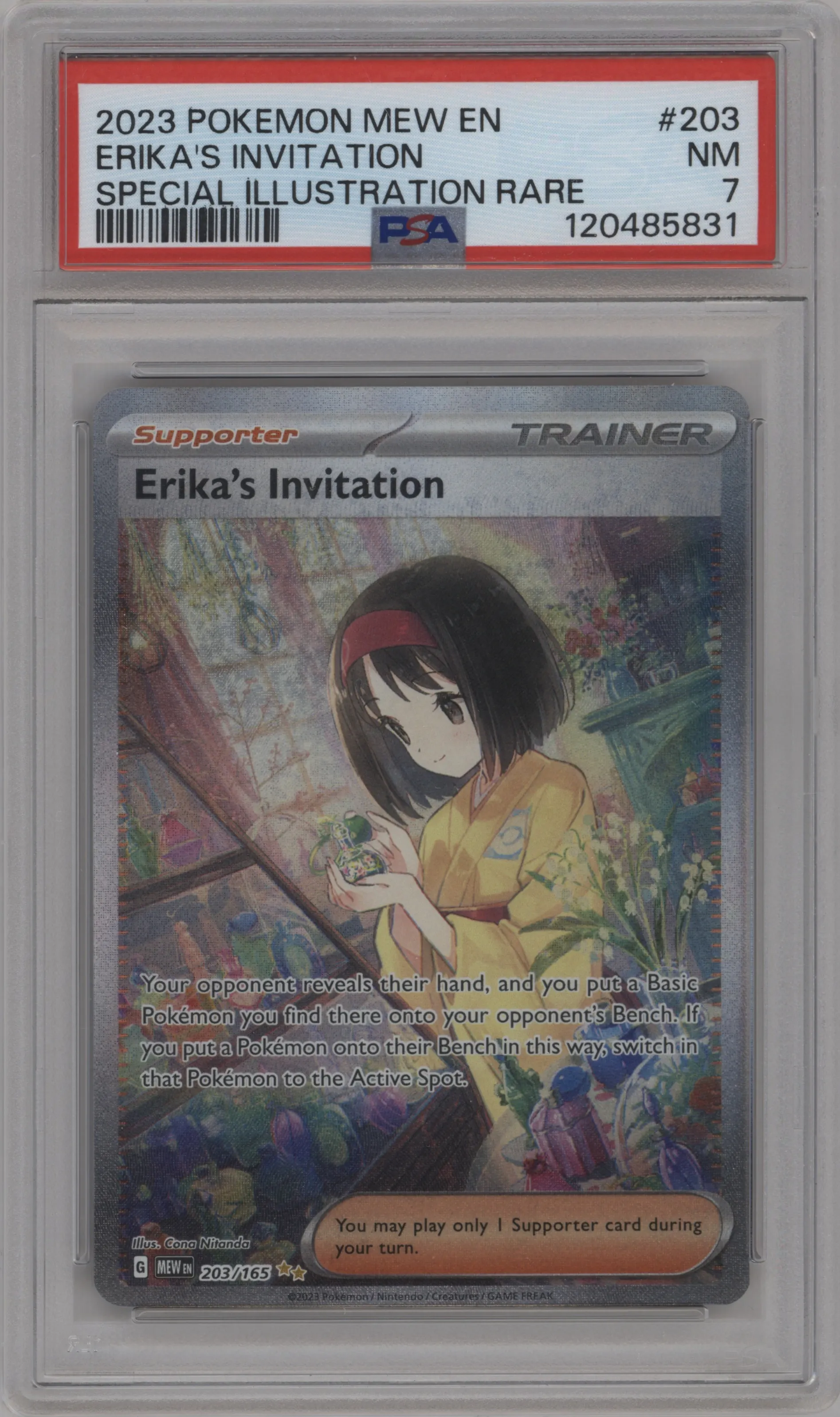Erika's Invitation