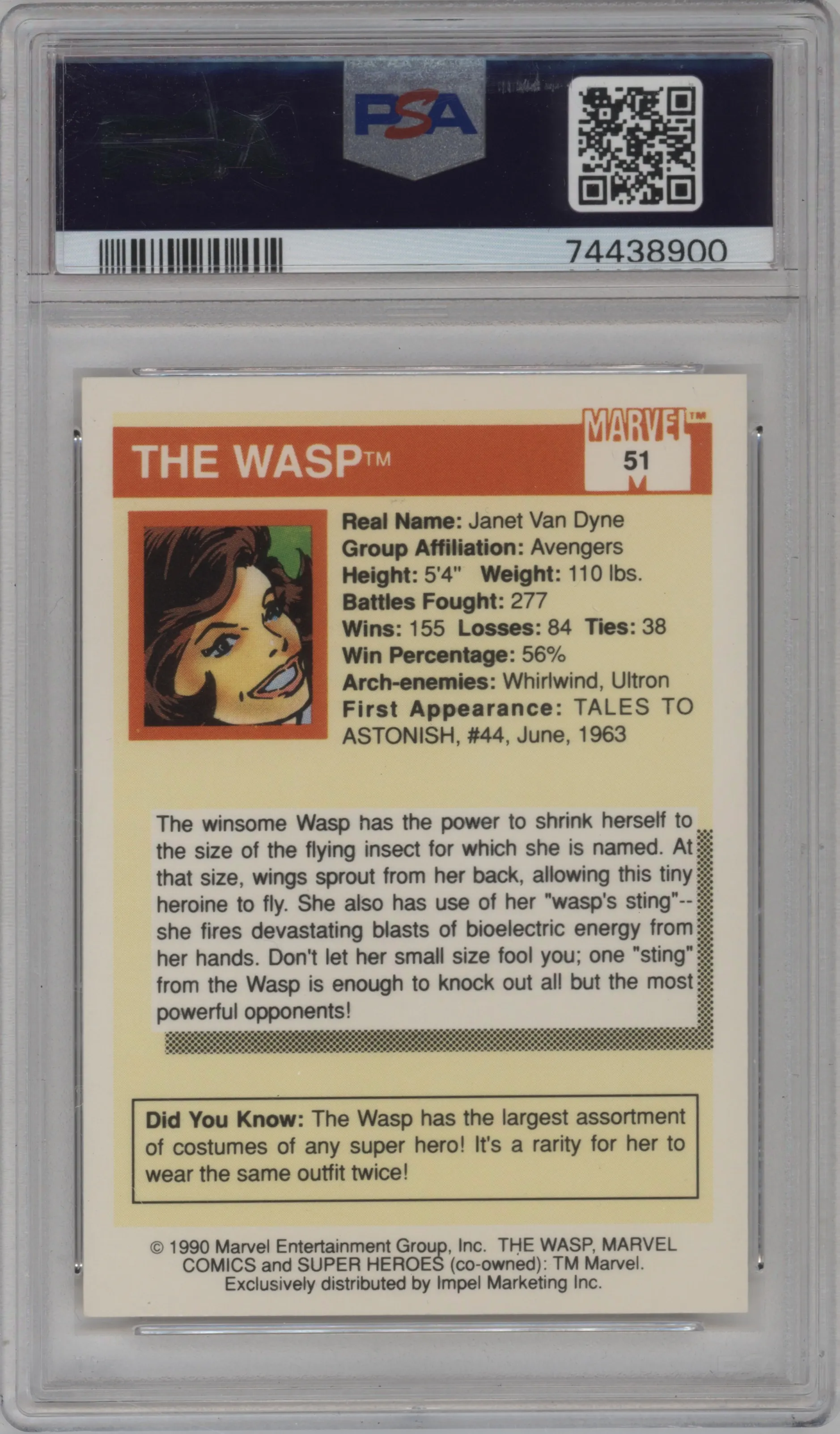 Wasp