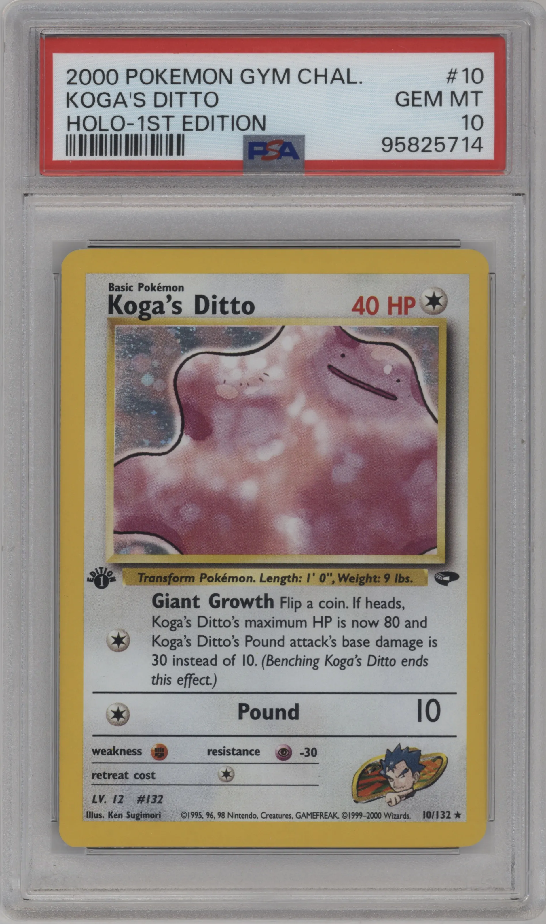 Koga's Ditto