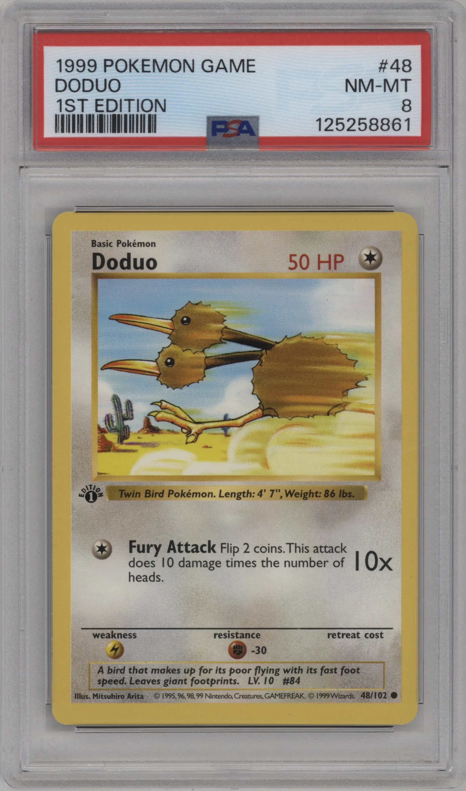 Doduo