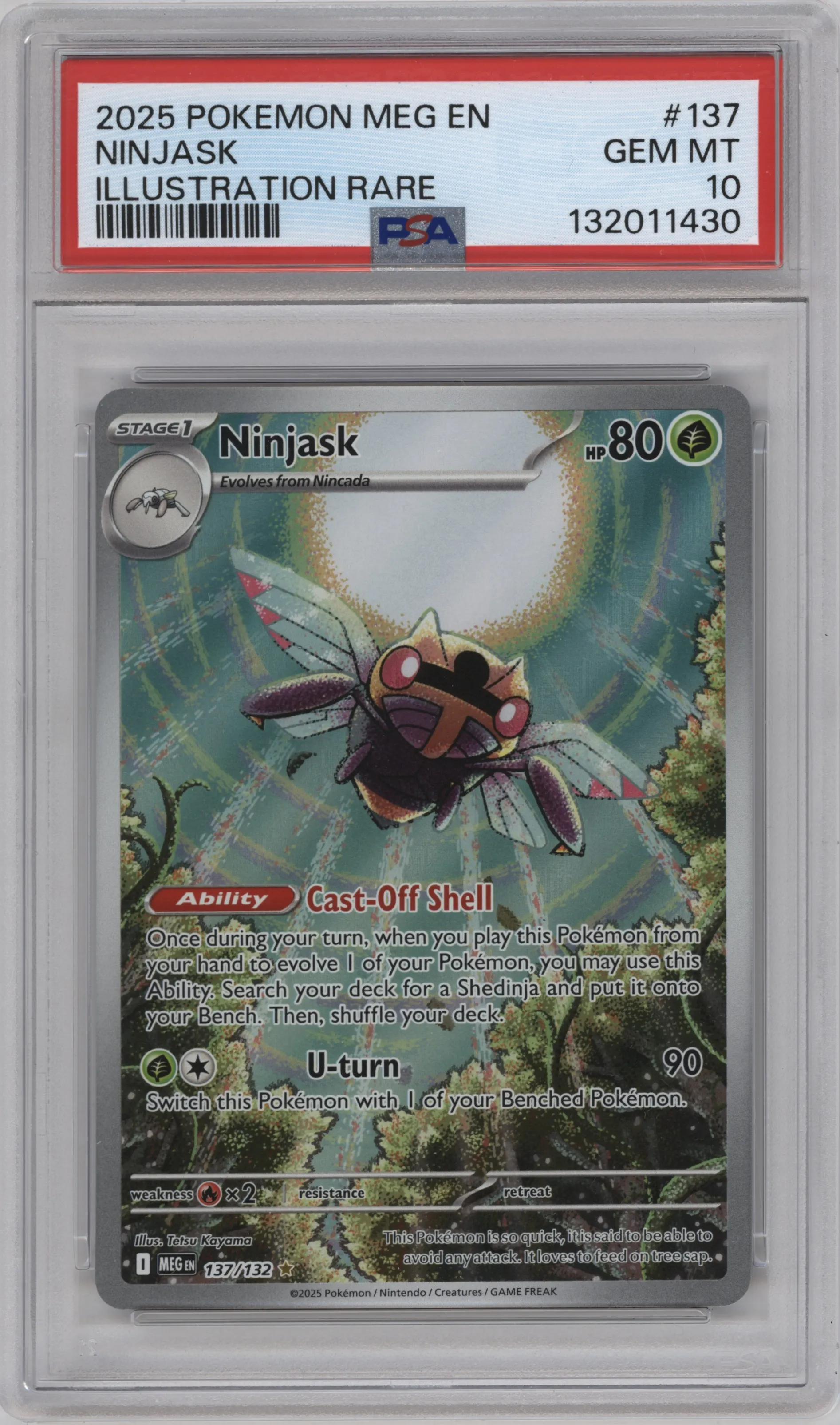 Ninjask