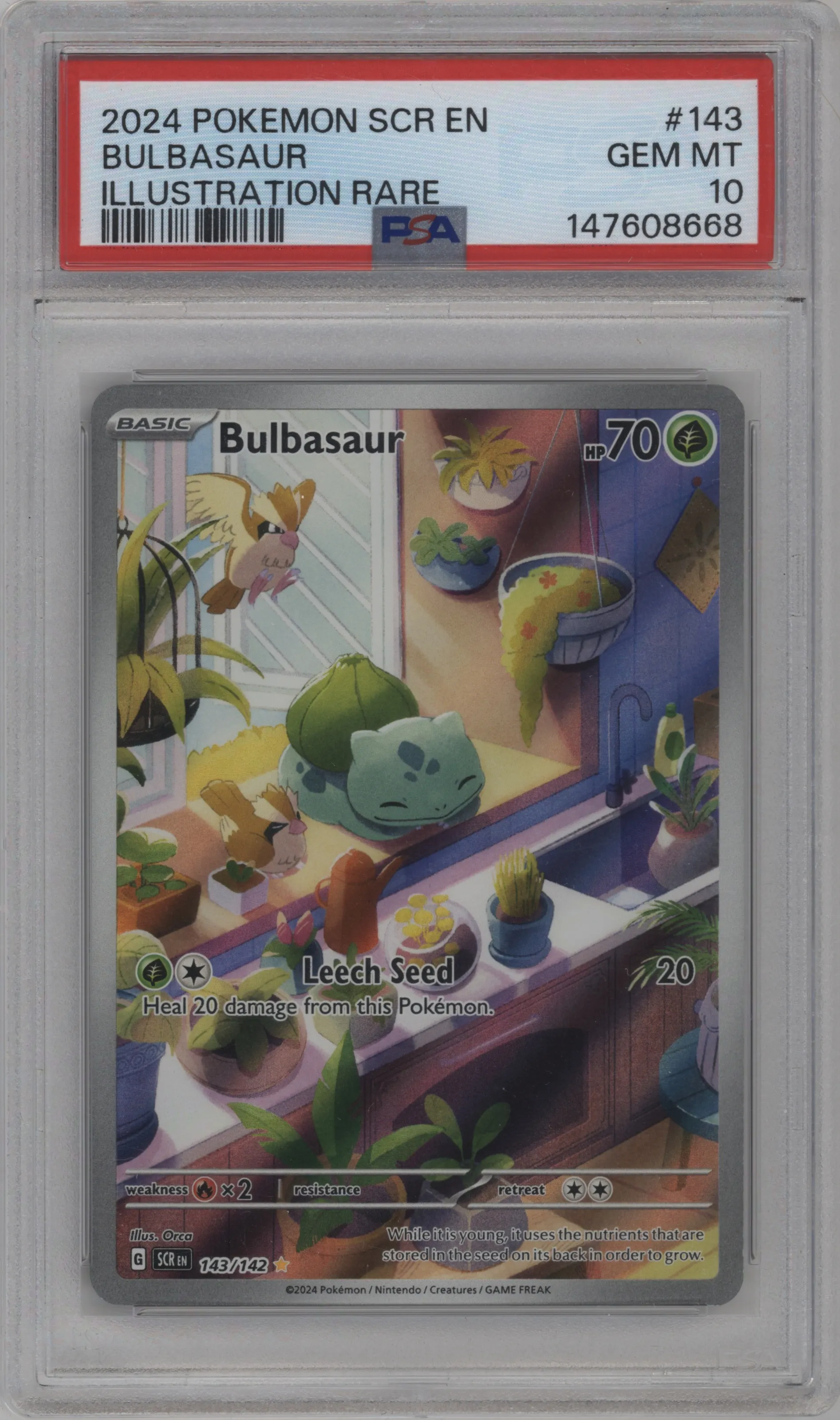 Bulbasaur