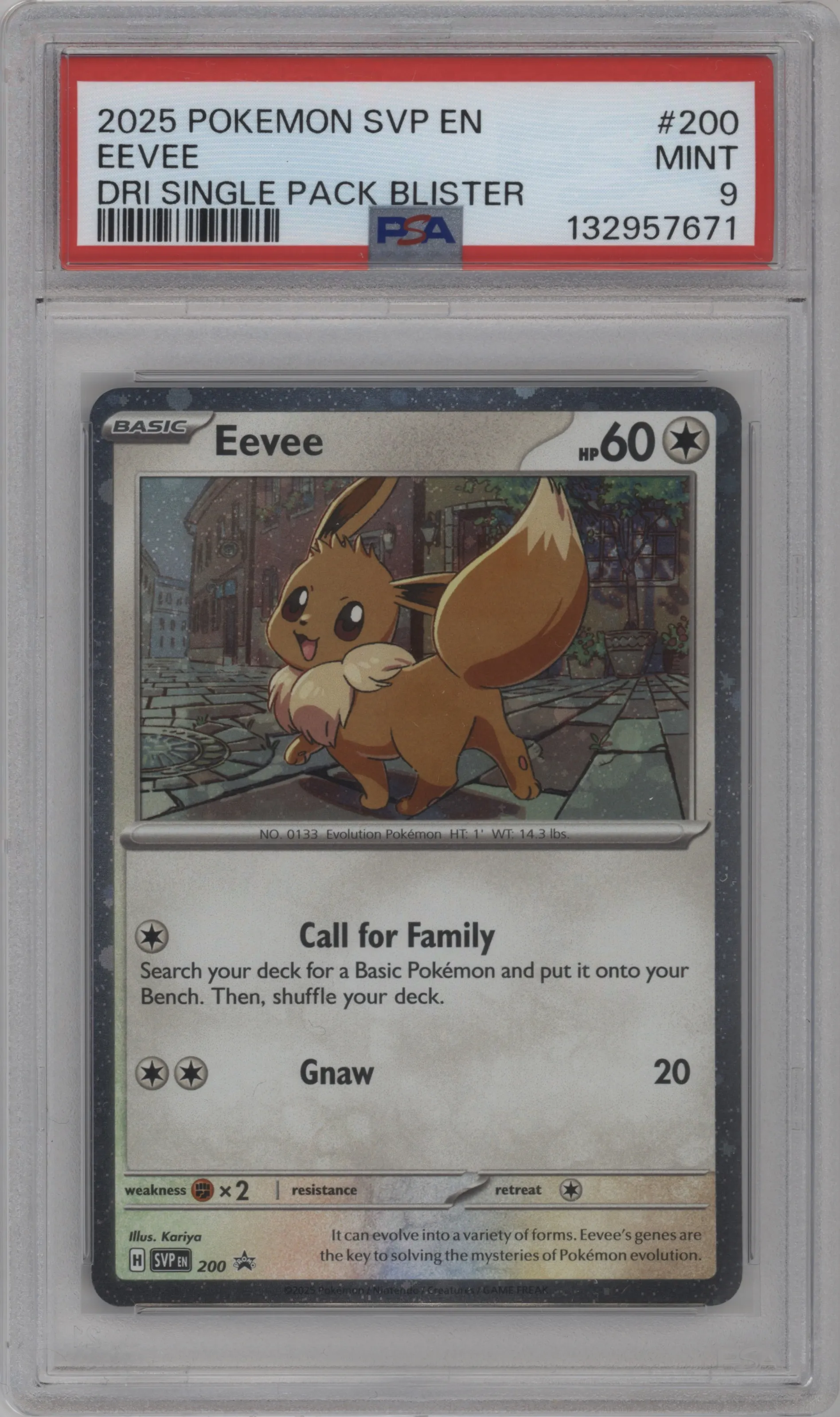 Eevee