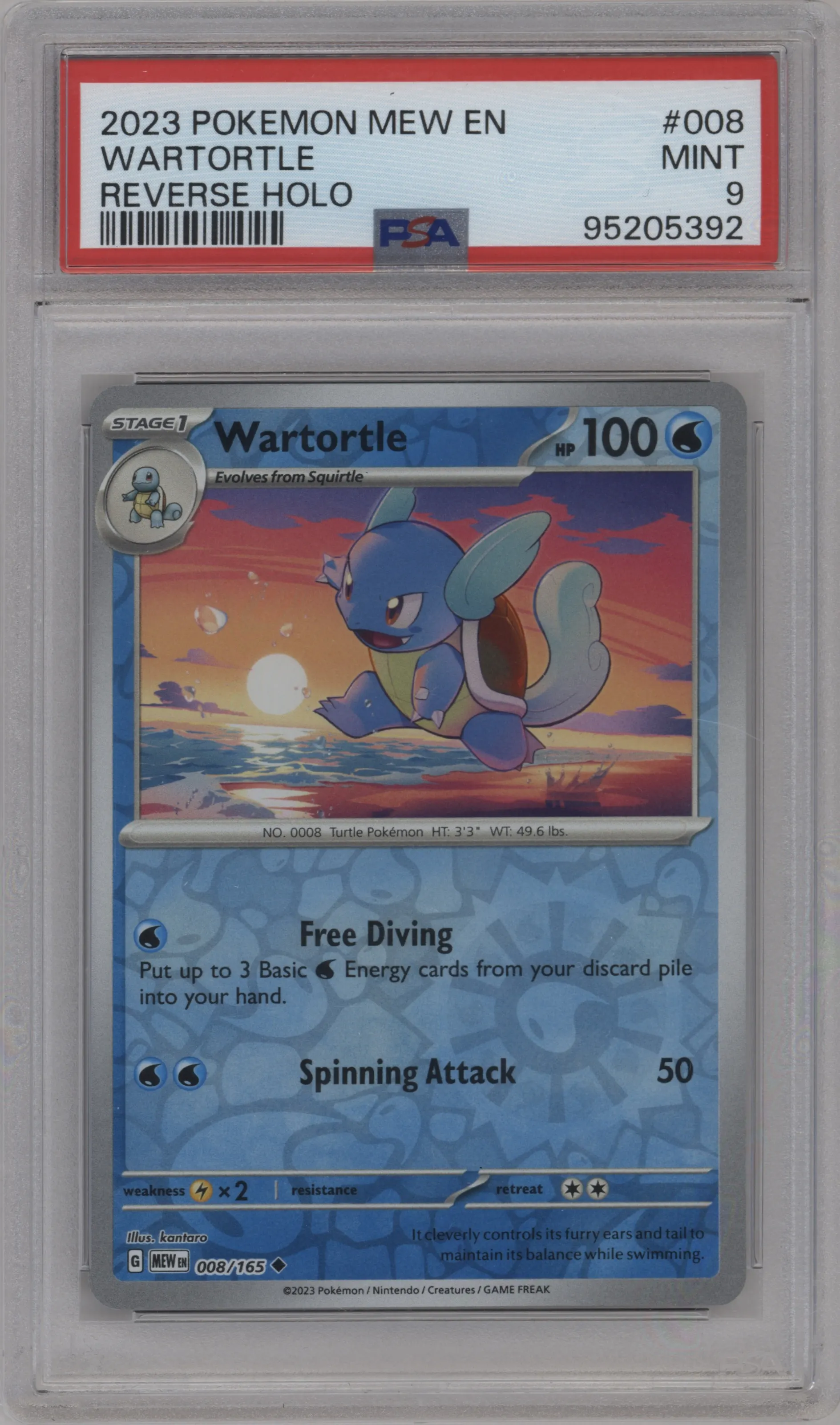 Wartortle