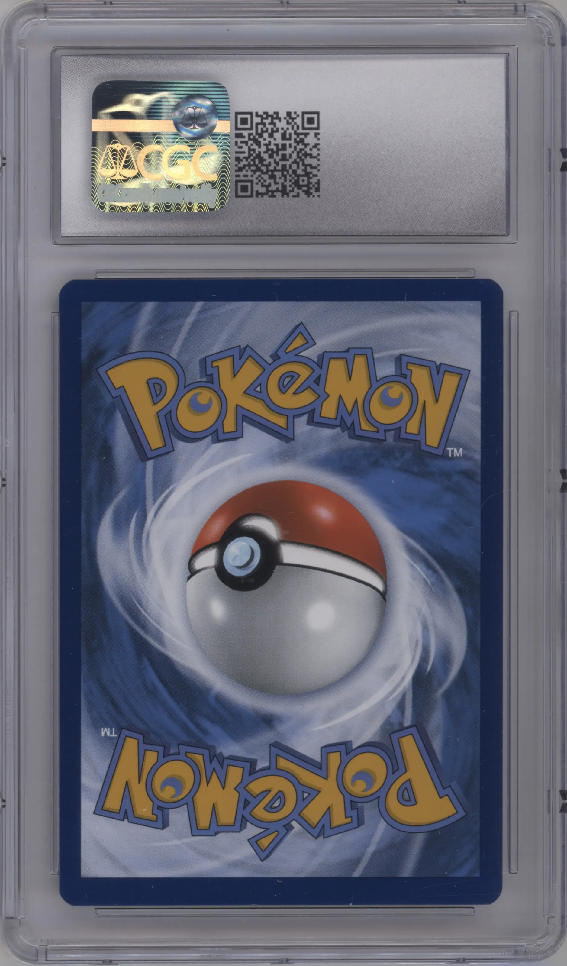 Pikachu with Grey Felt Hat