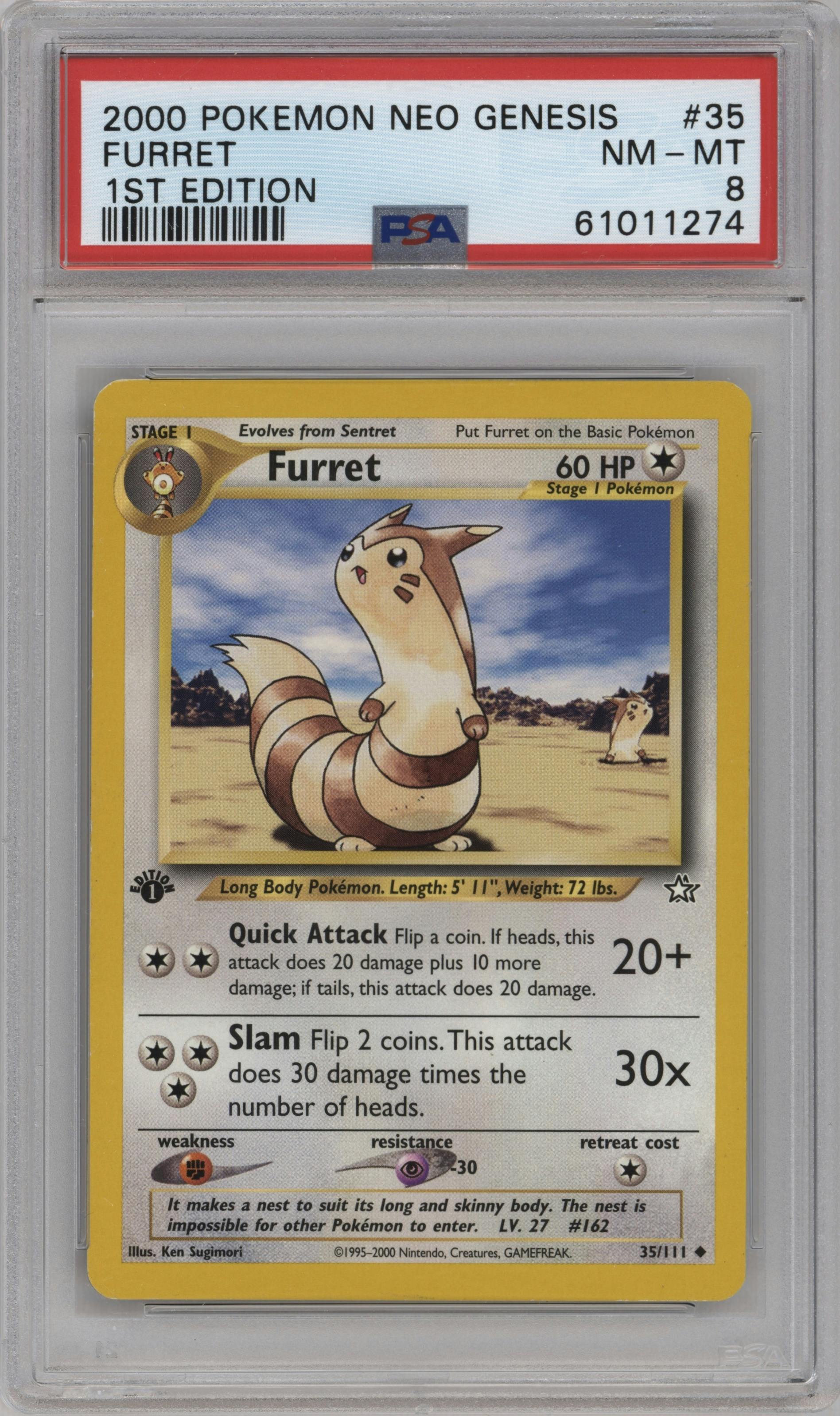 Furret