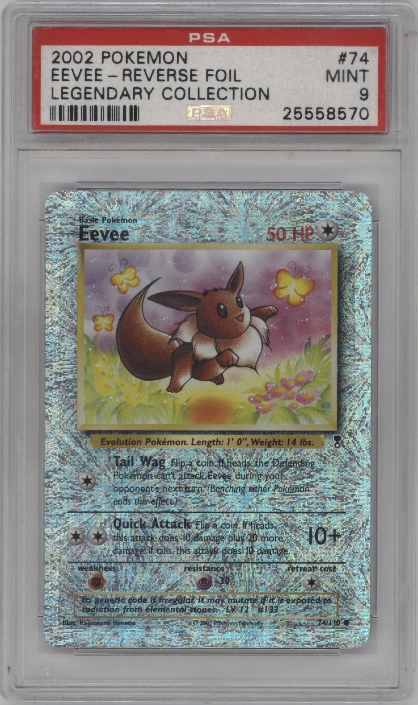 Eevee