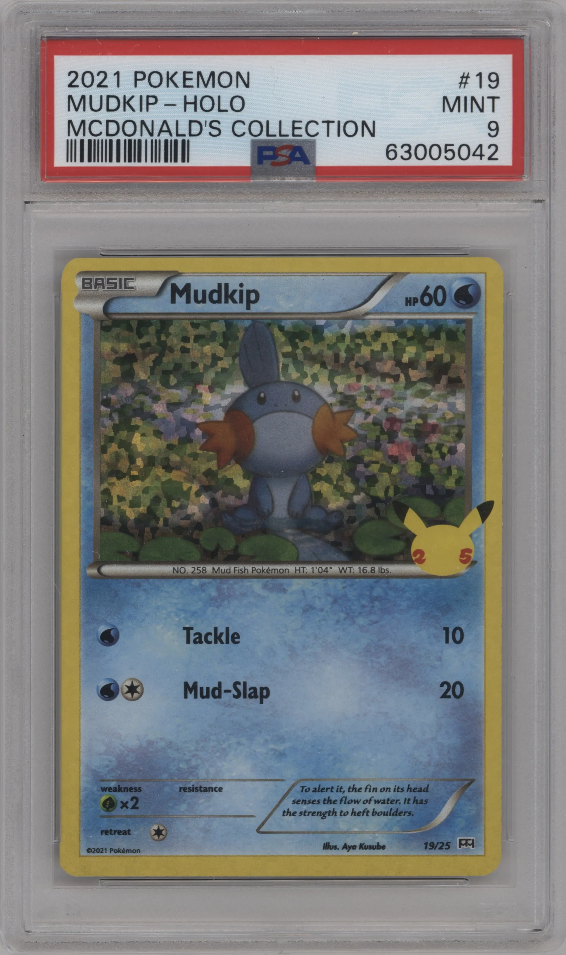 Mudkip