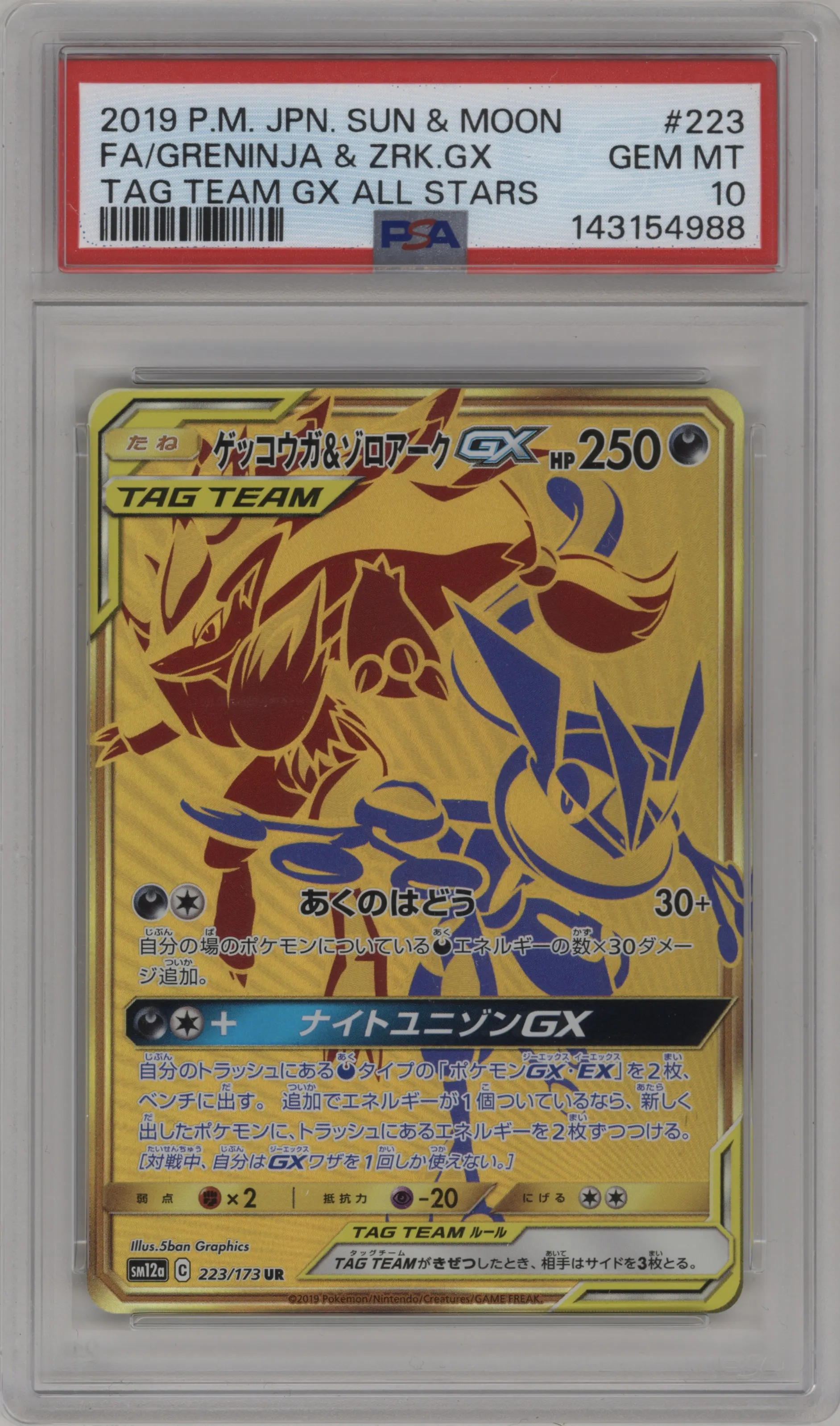 Greninja & Zoroark GX