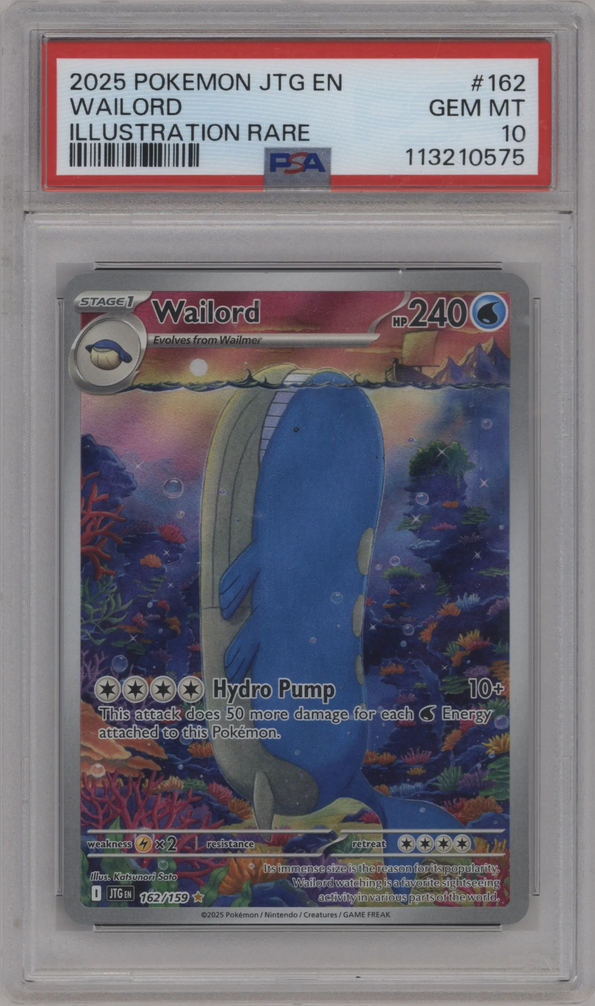 Wailord
