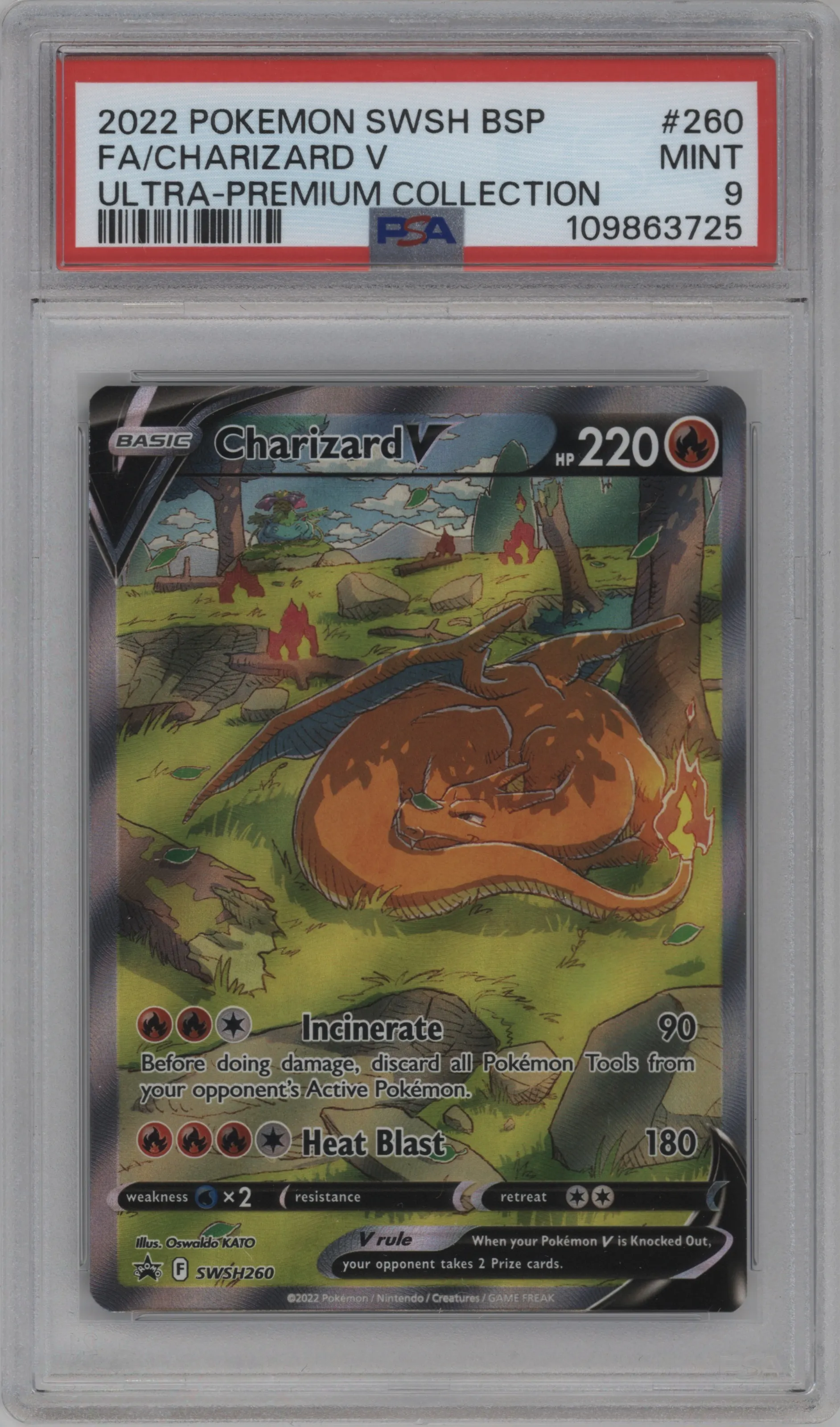Charizard V
