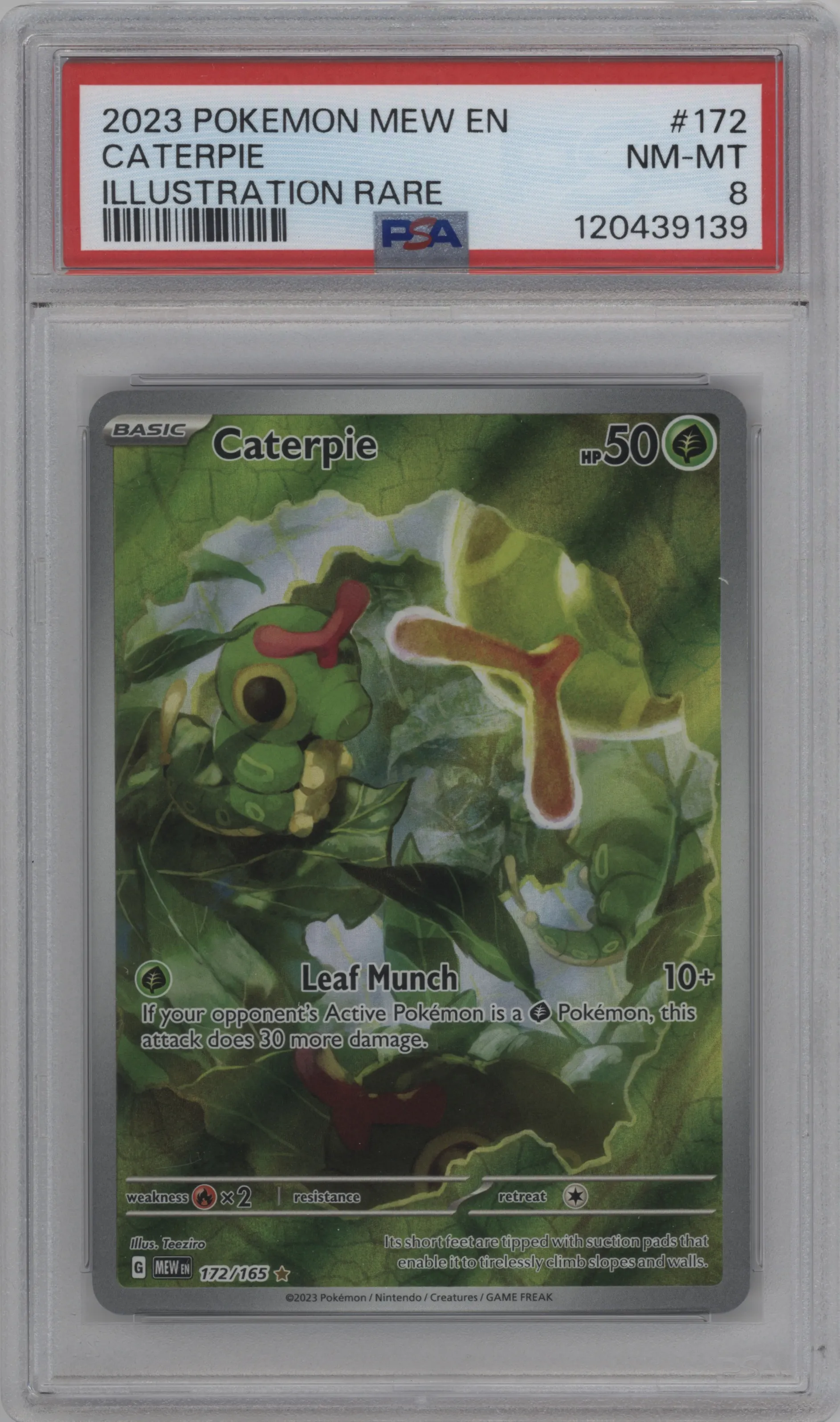 Caterpie