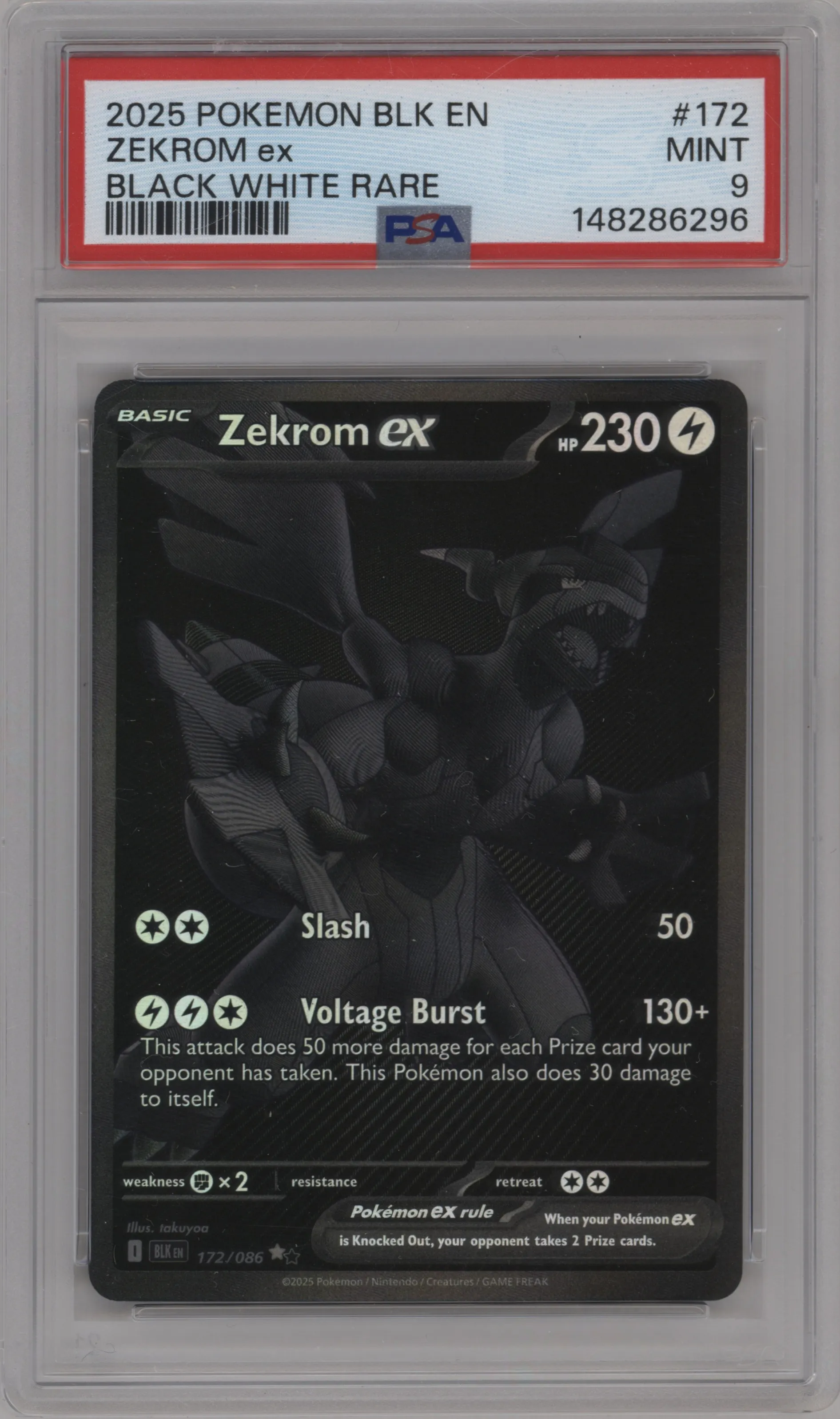 Zekrom ex