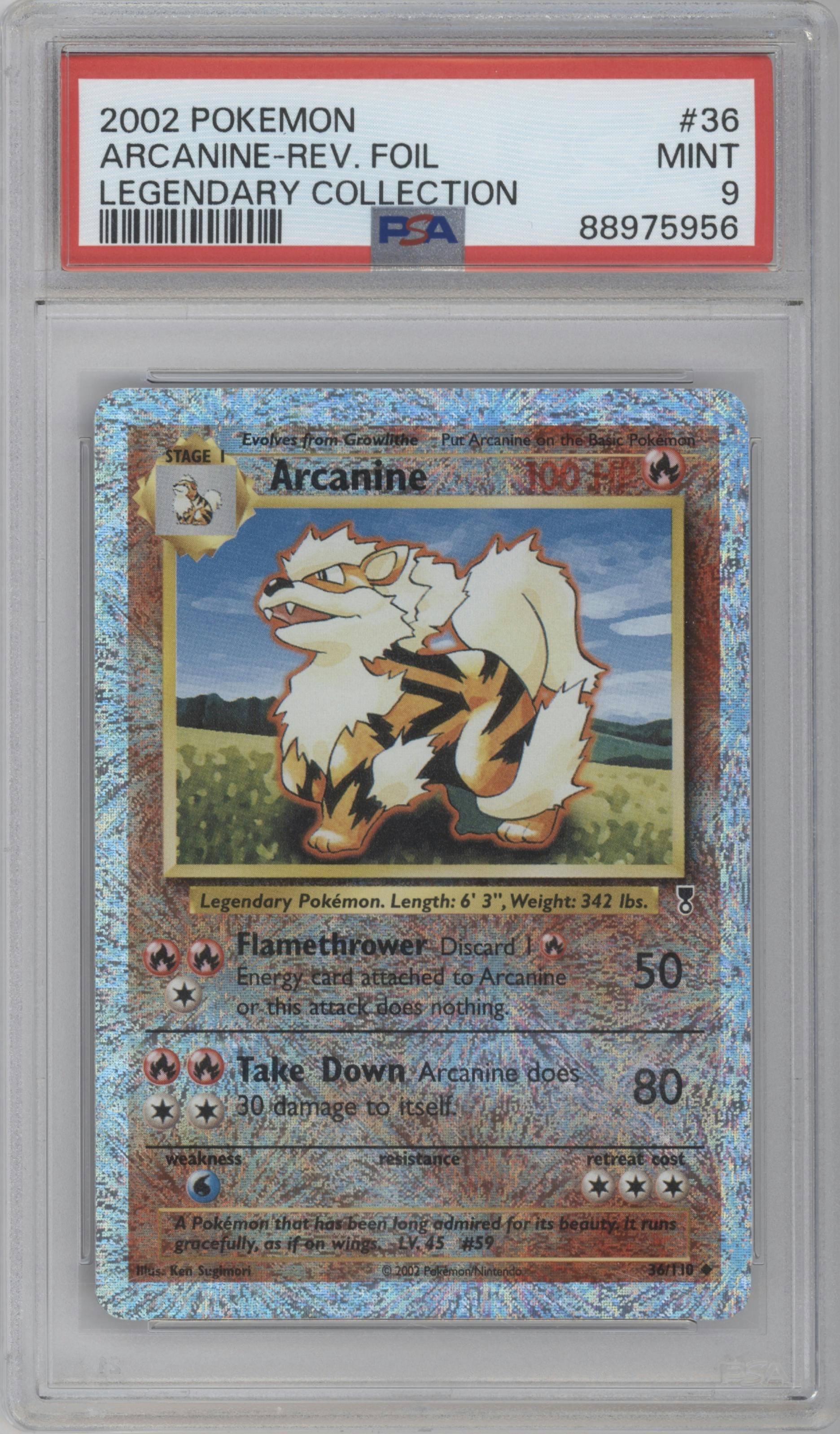 Arcanine