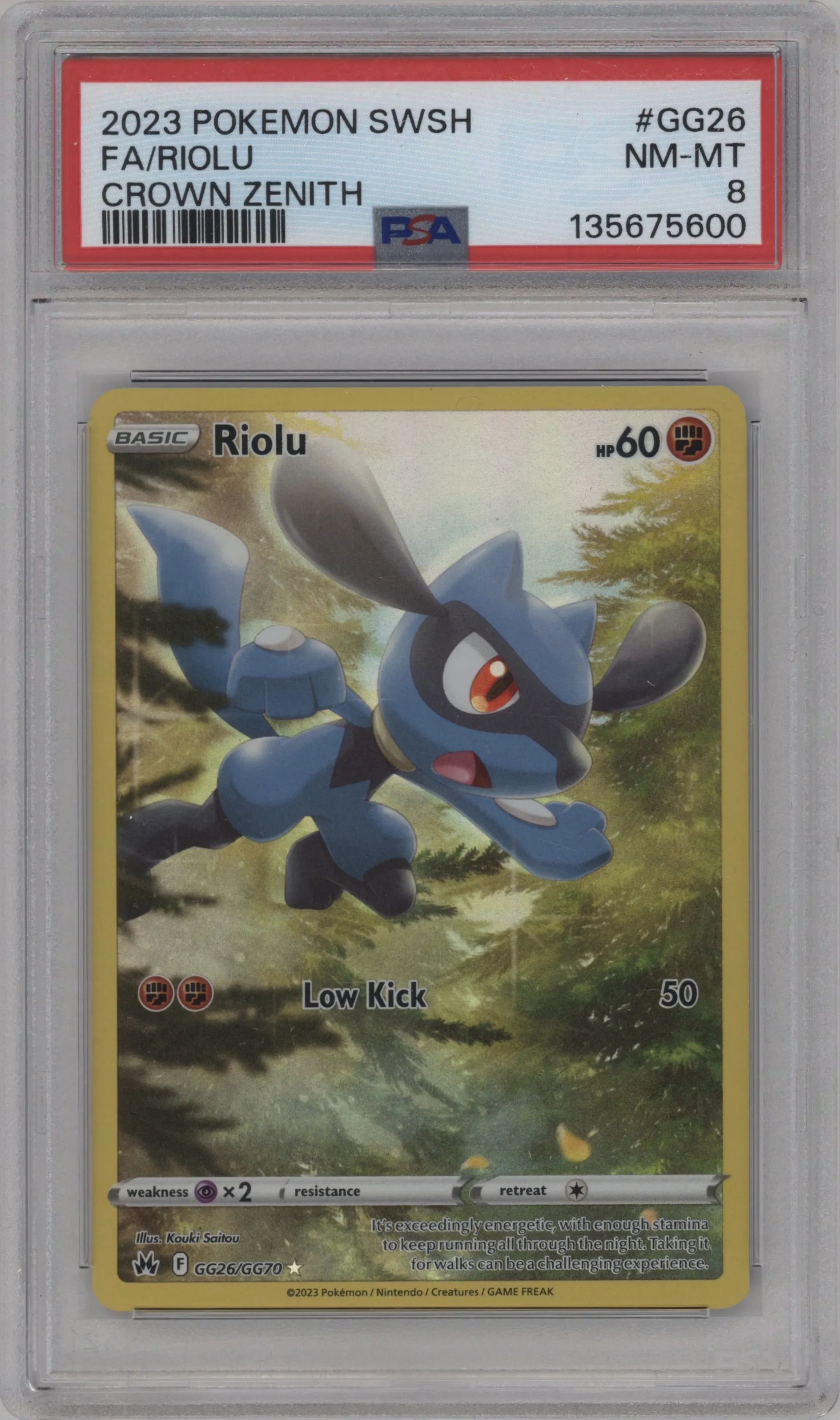 Riolu