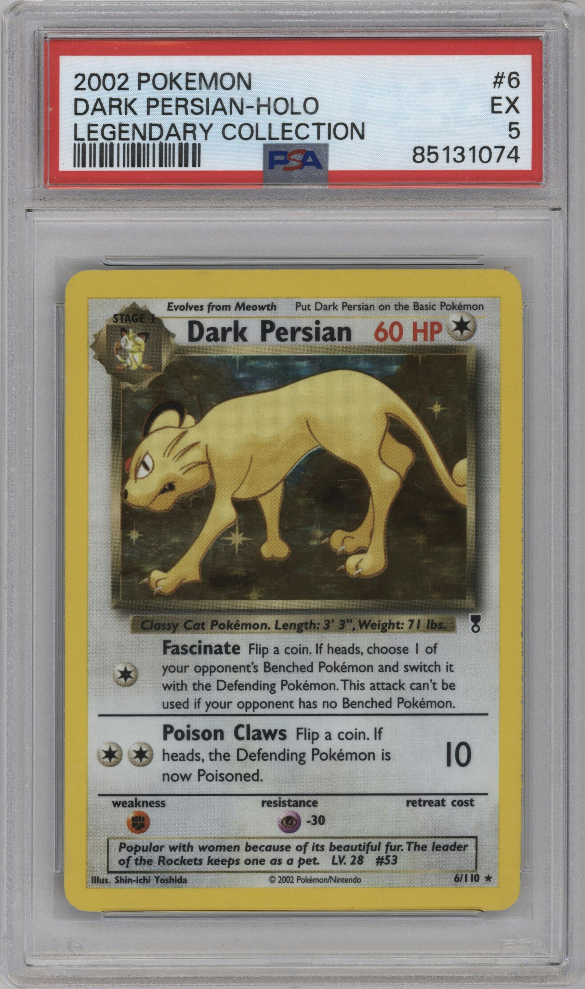 Dark Persian