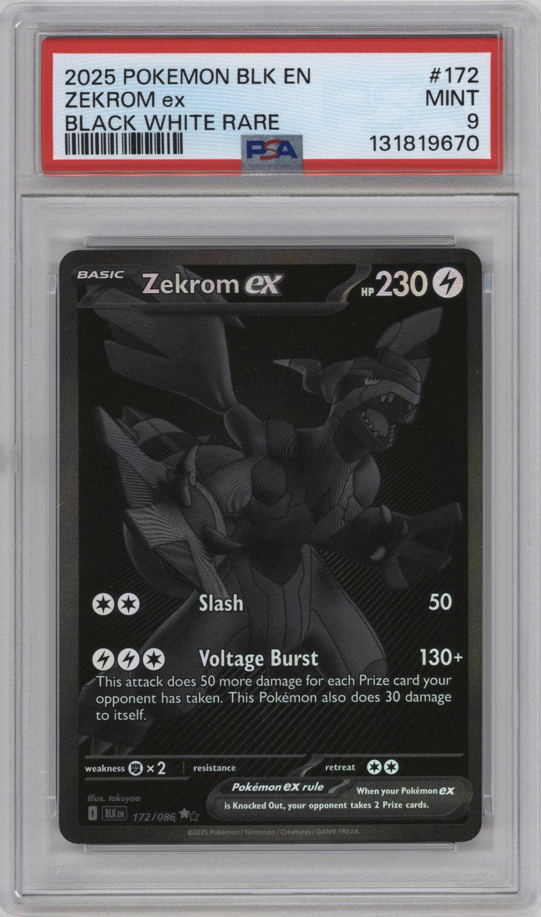 Zekrom ex