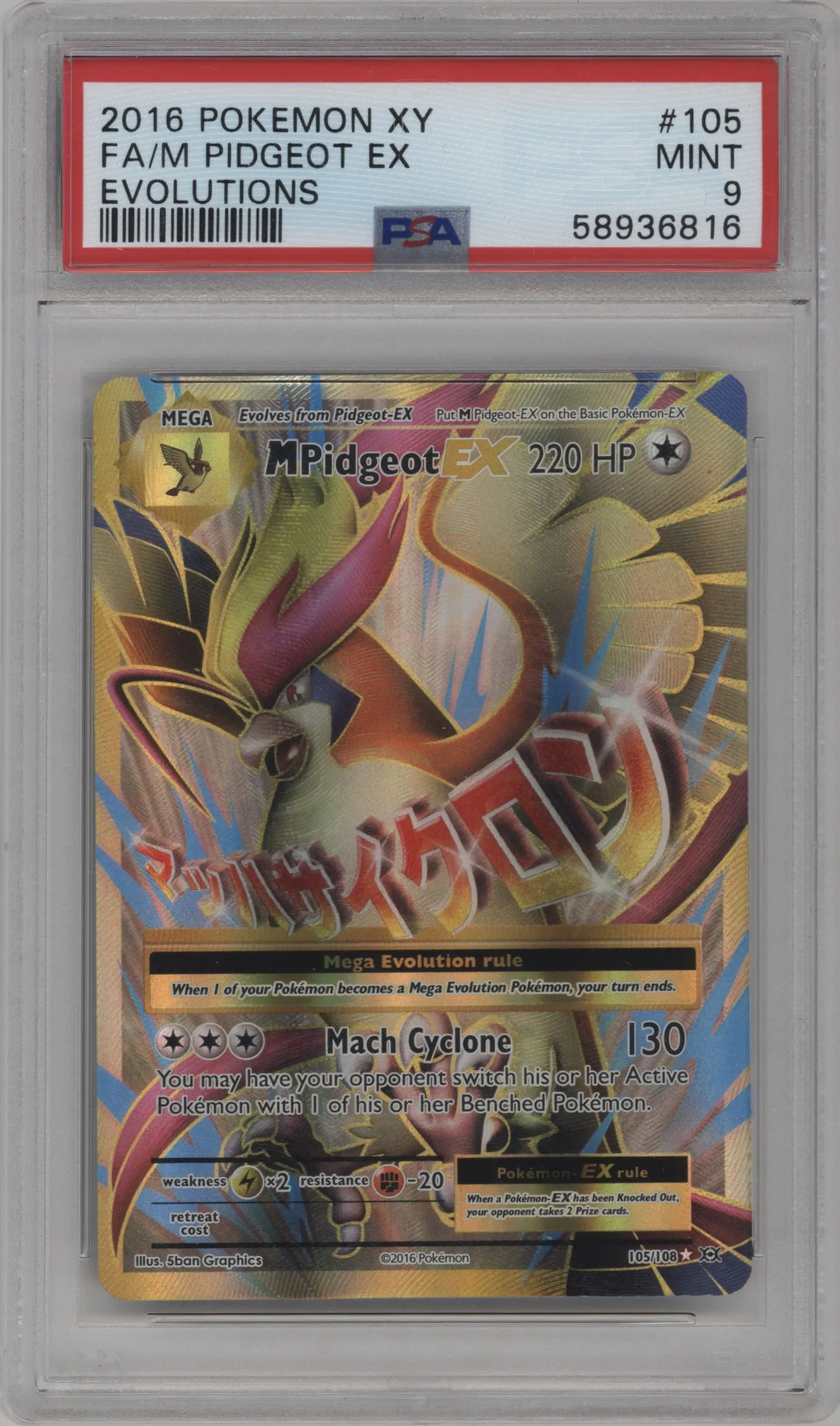 M Pidgeot EX