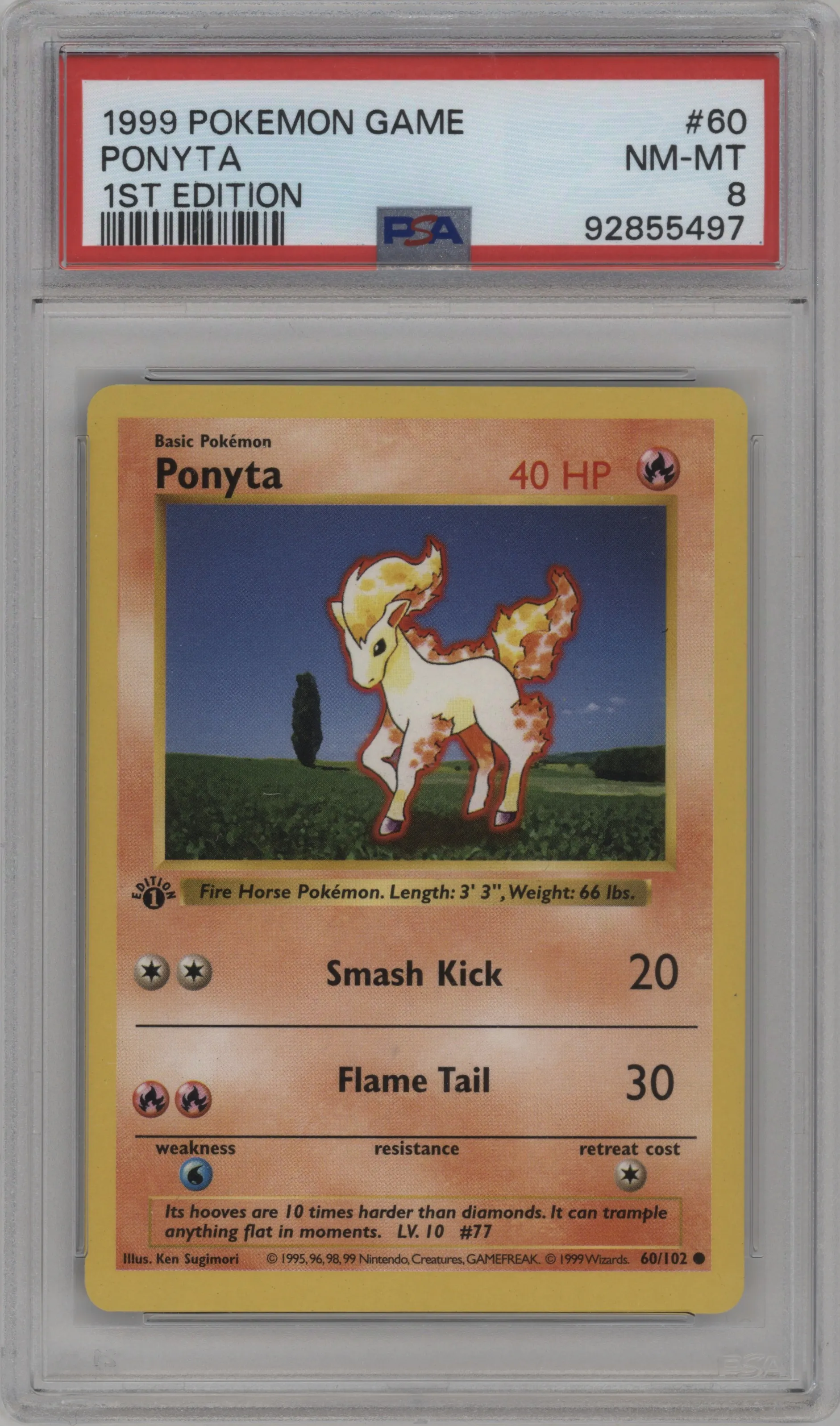 Ponyta