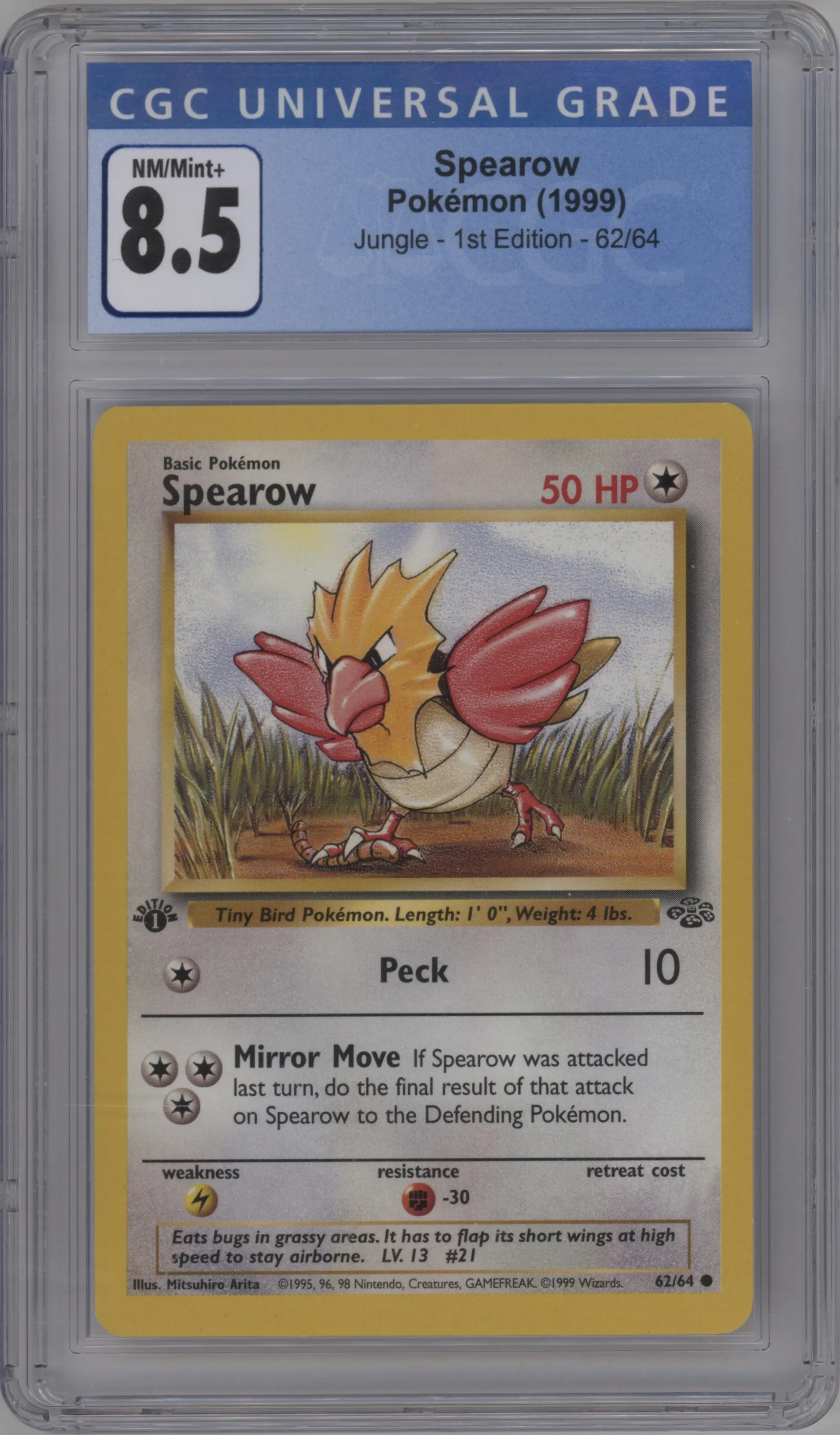 Spearow