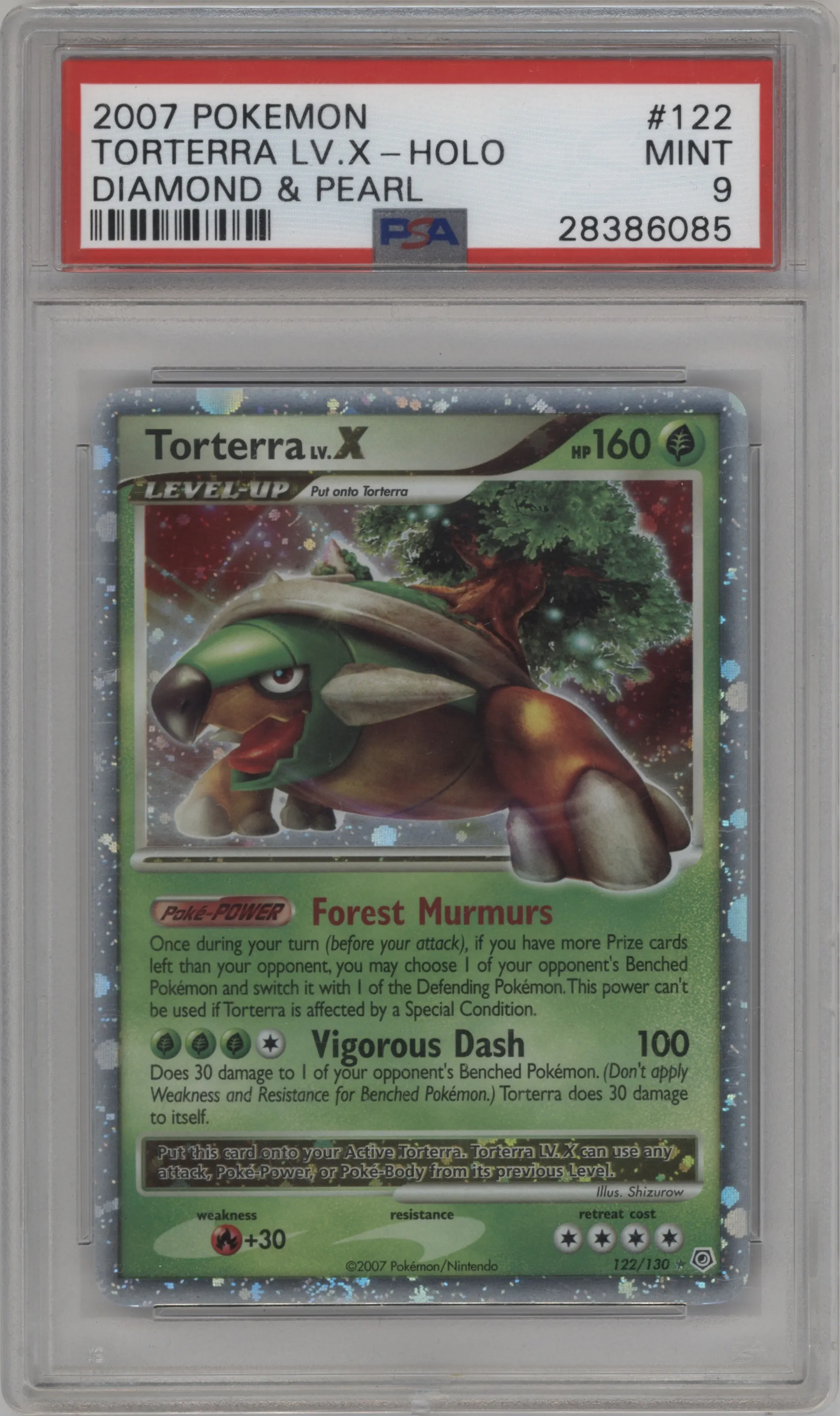 Torterra LV.X