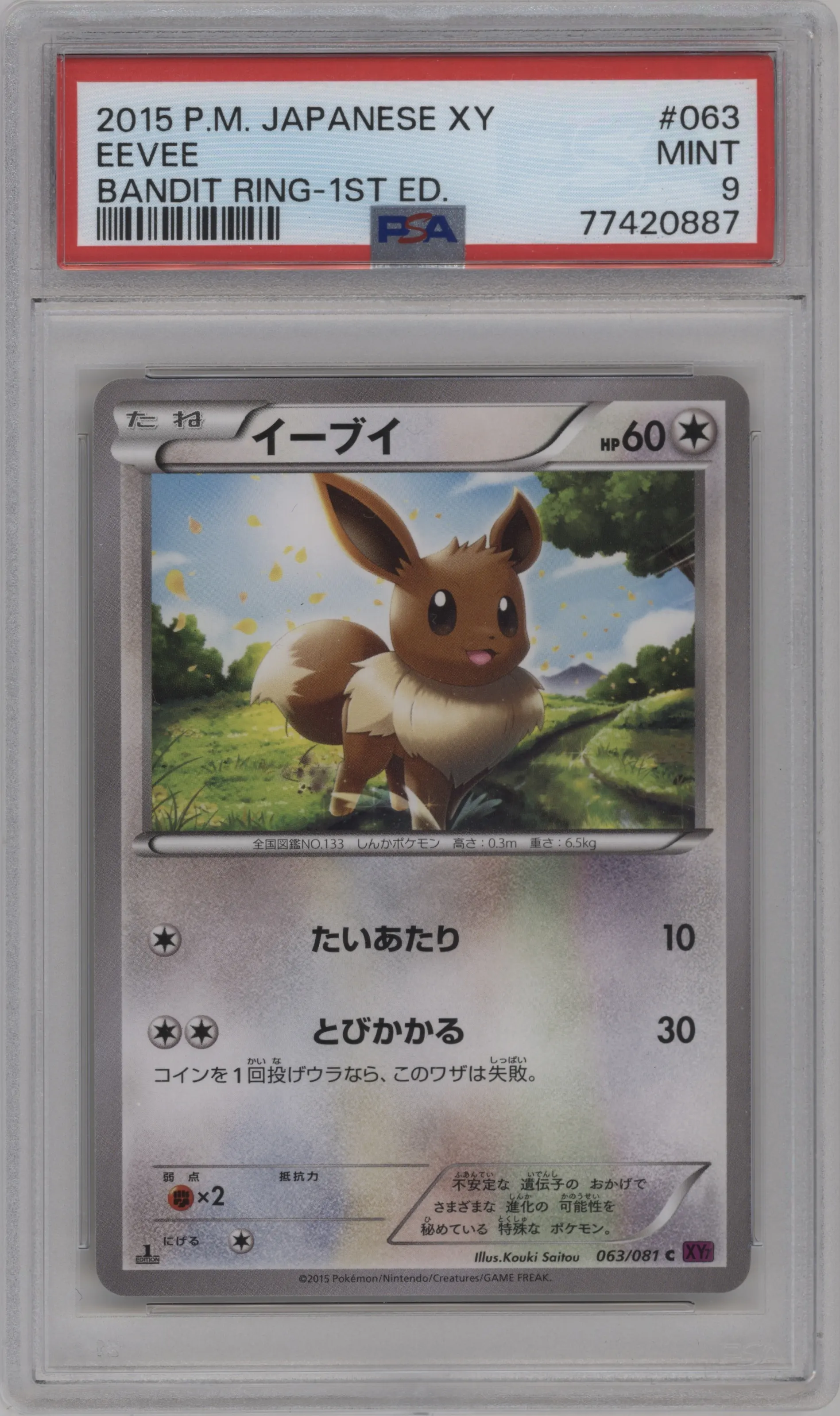 2015 Pokemon XY JPN Bandit Ring Eevee PSA 9