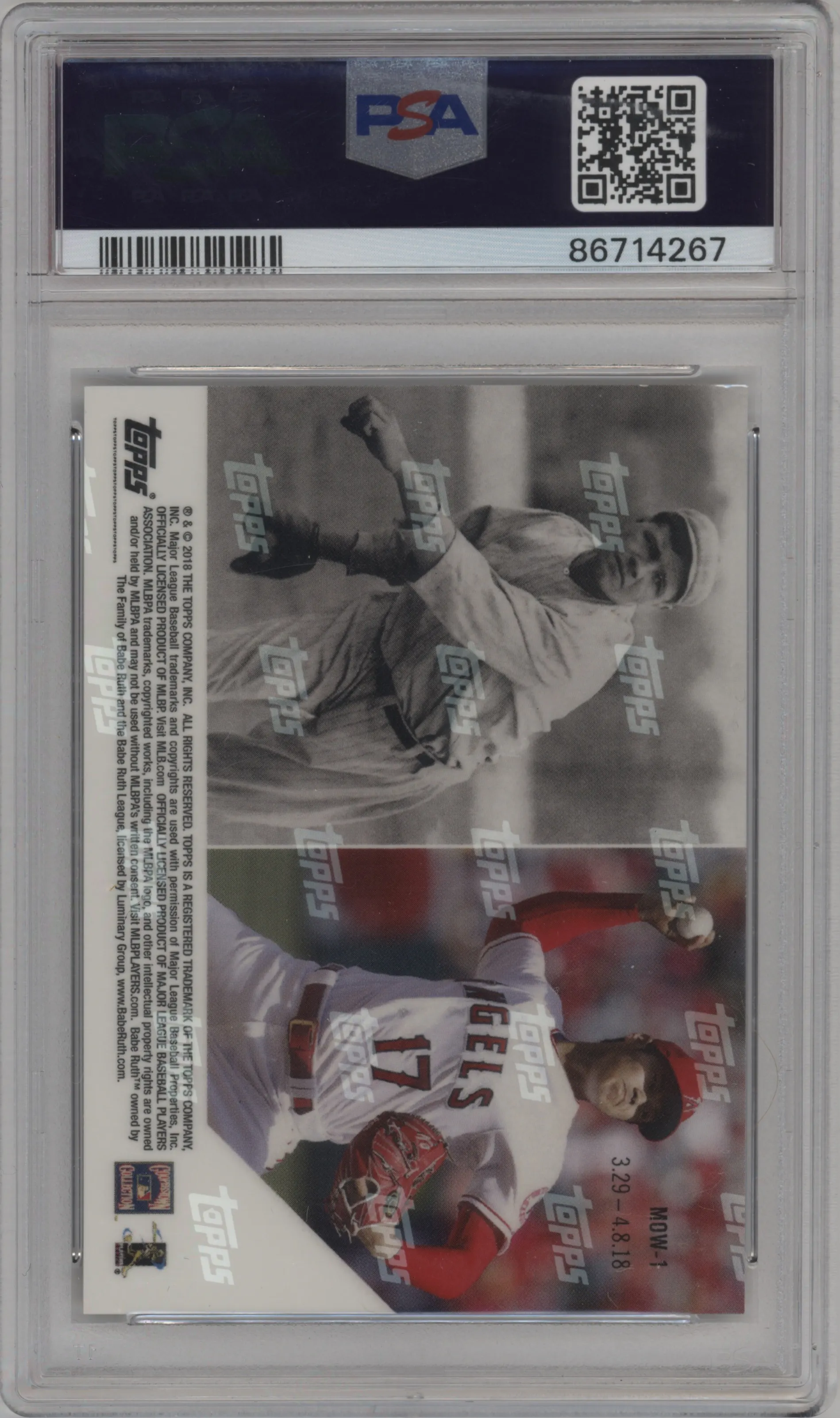 Babe Ruth/Shohei Ohtani