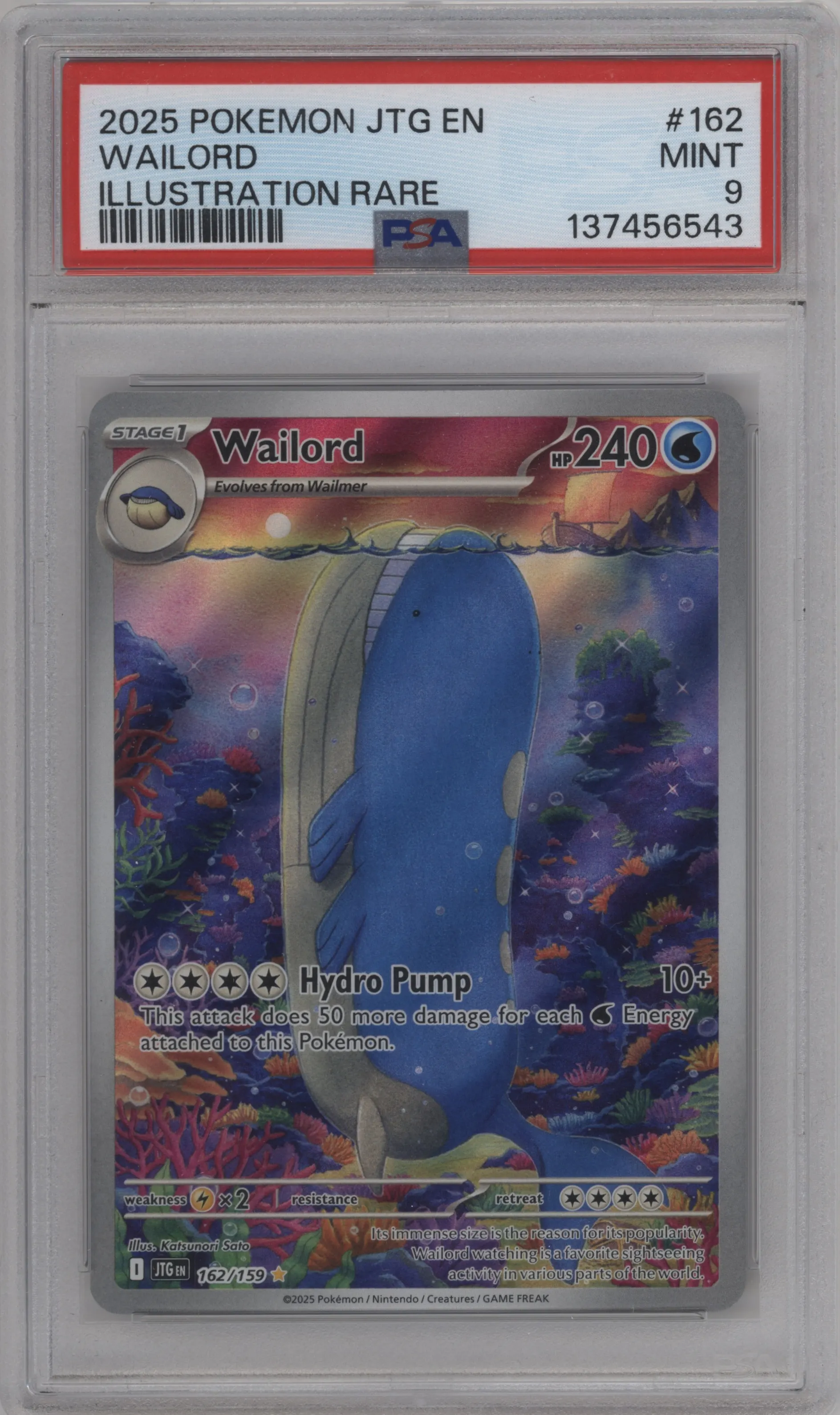 Wailord