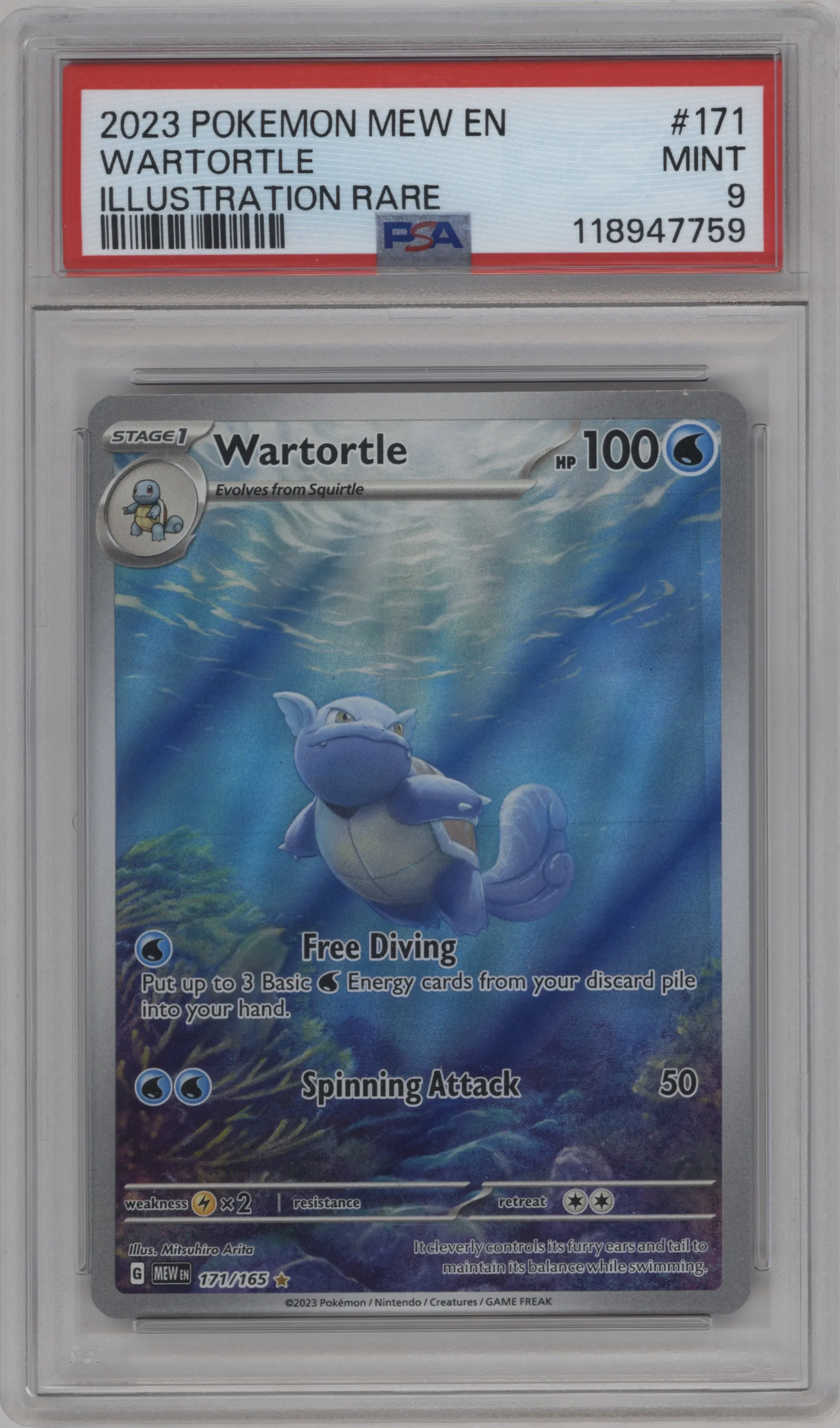 Wartortle