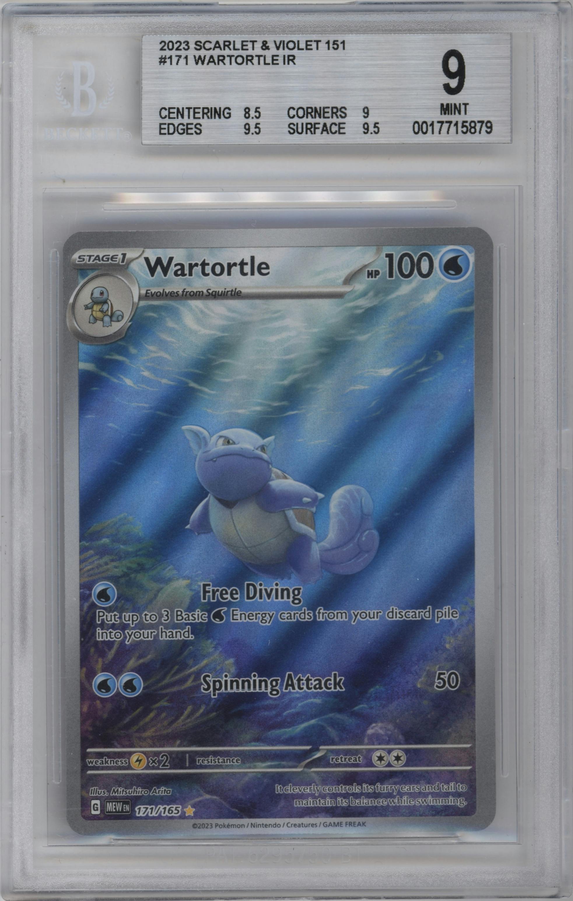 Wartortle