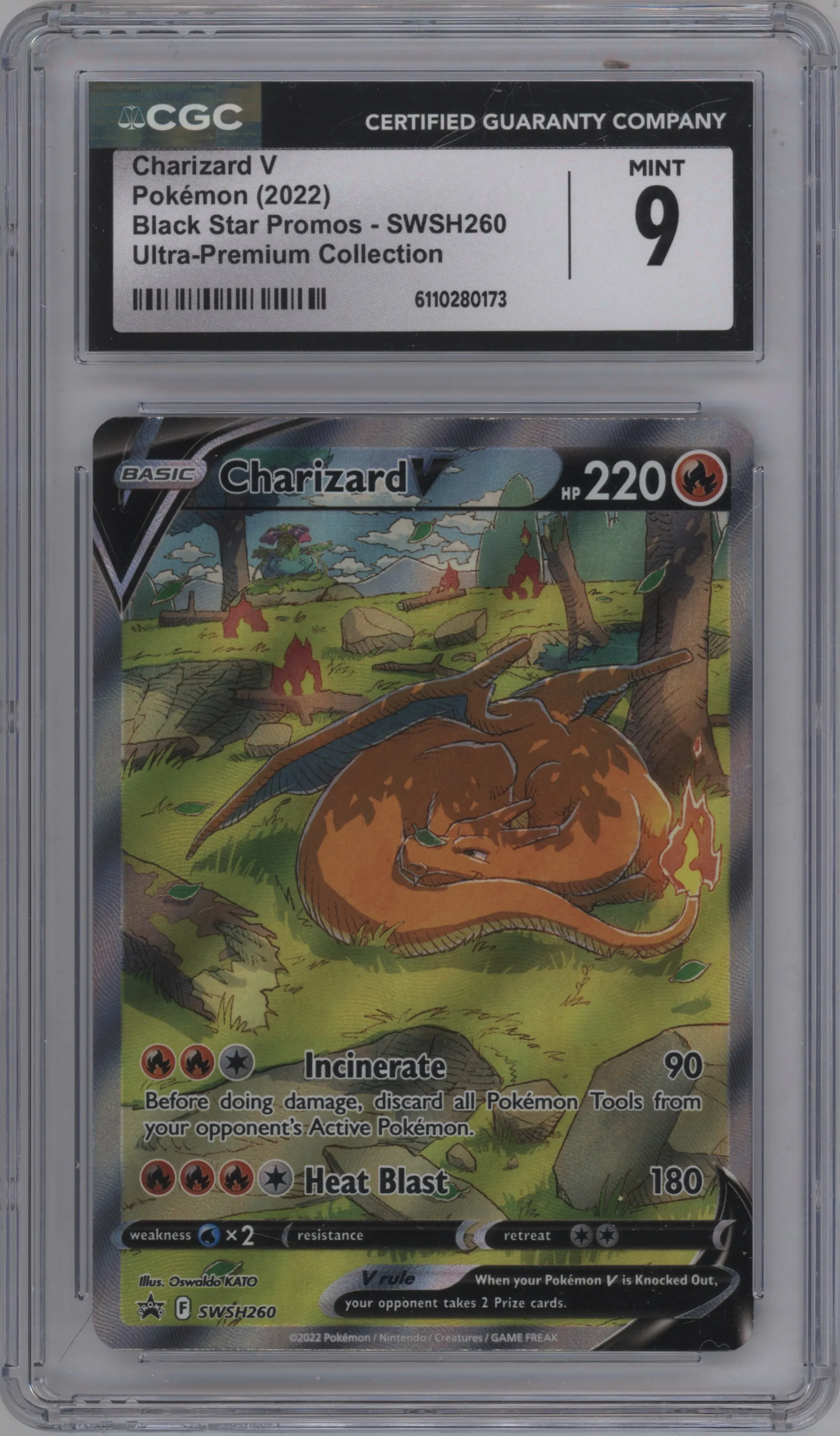 Charizard V